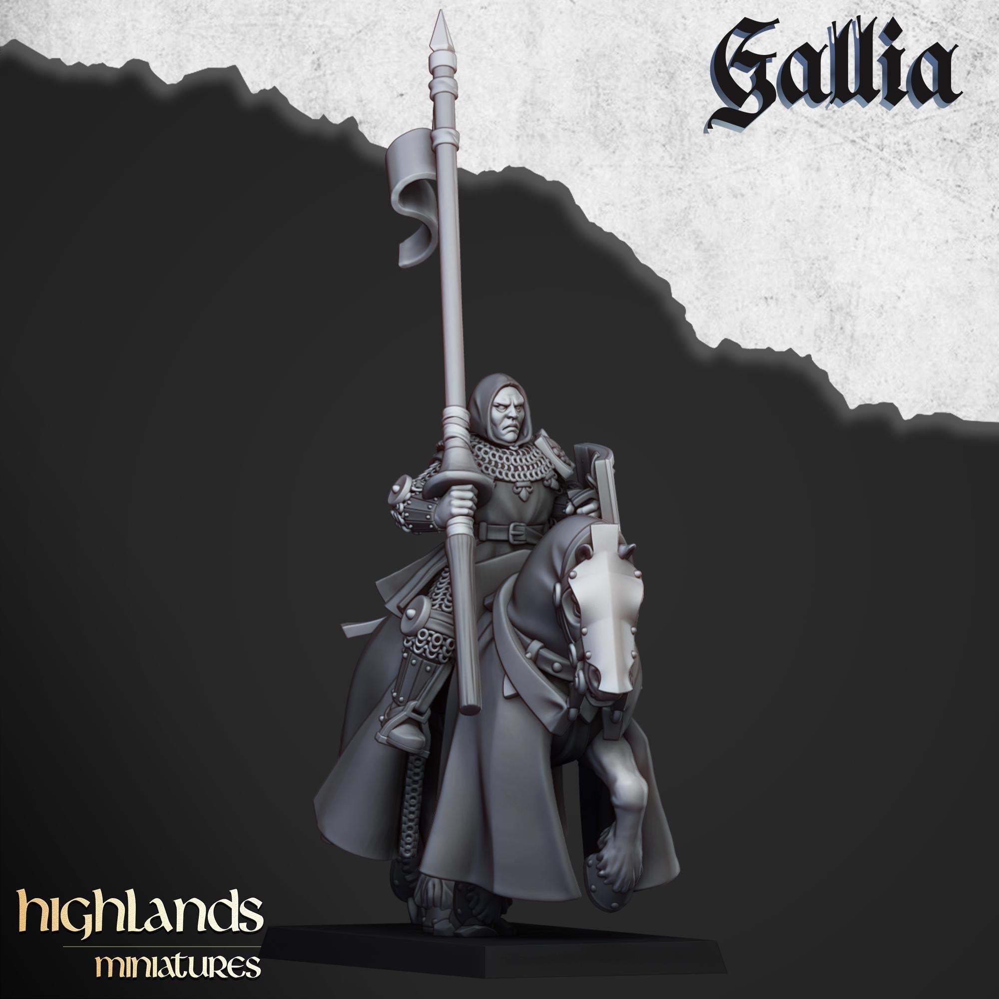 Young Knights of Gallia - in 12k- by Highlands Miniatures