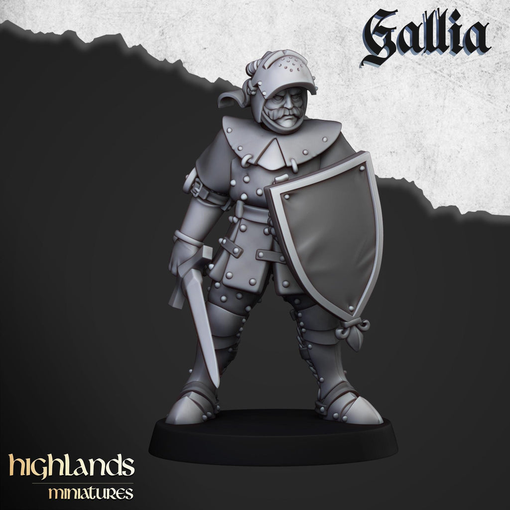 Knights of Gallia on Foot Unit - in 12k- by Highlands Miniatures