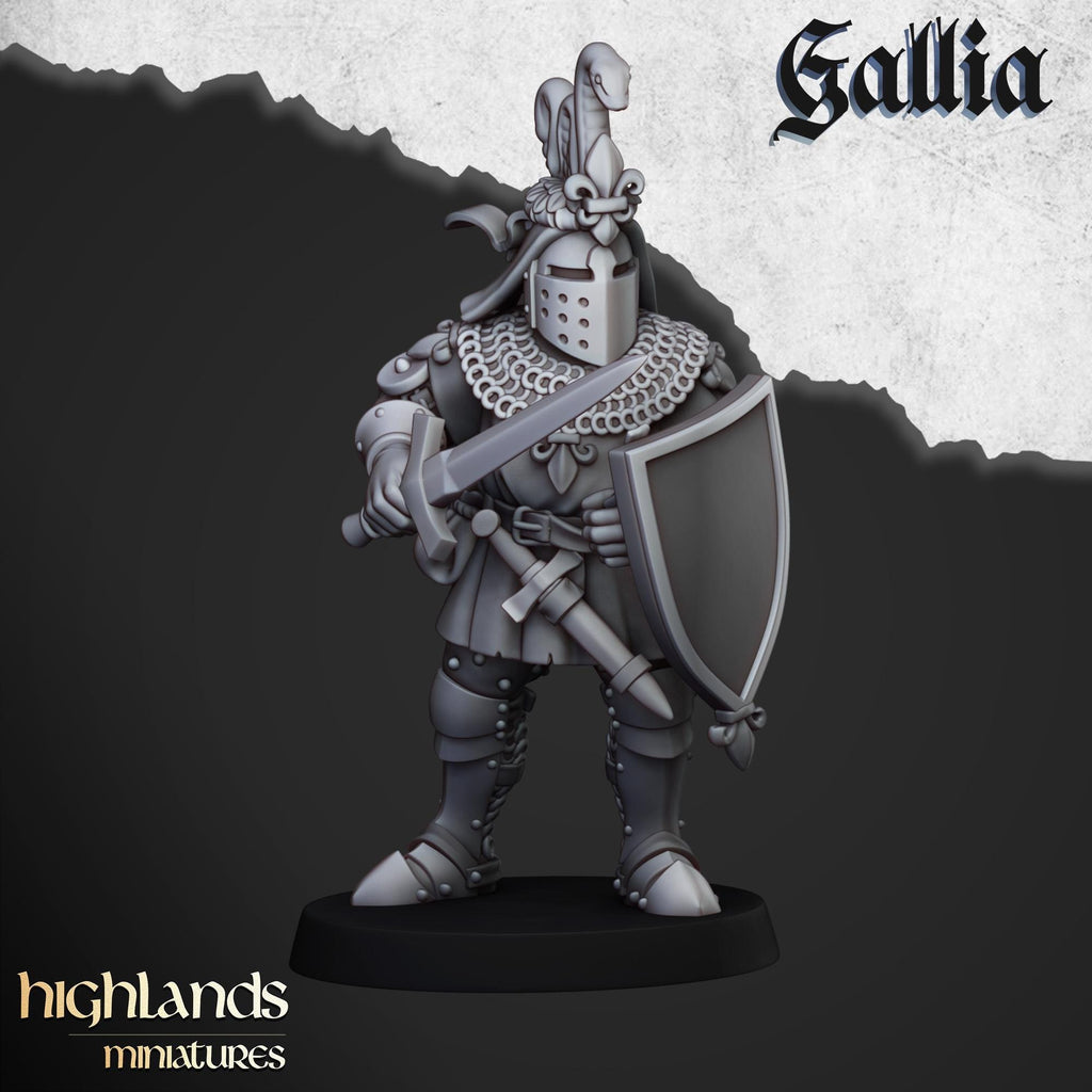 Knights of Gallia on Foot Unit - in 12k- by Highlands Miniatures