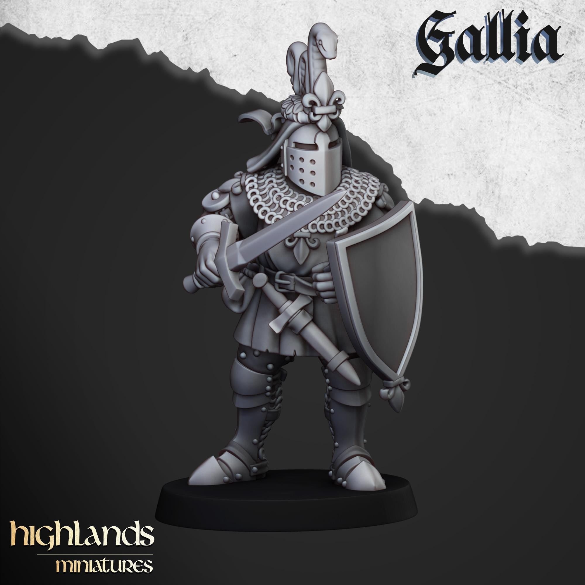Knights of Gallia on Foot Unit - in 12k- by Highlands Miniatures