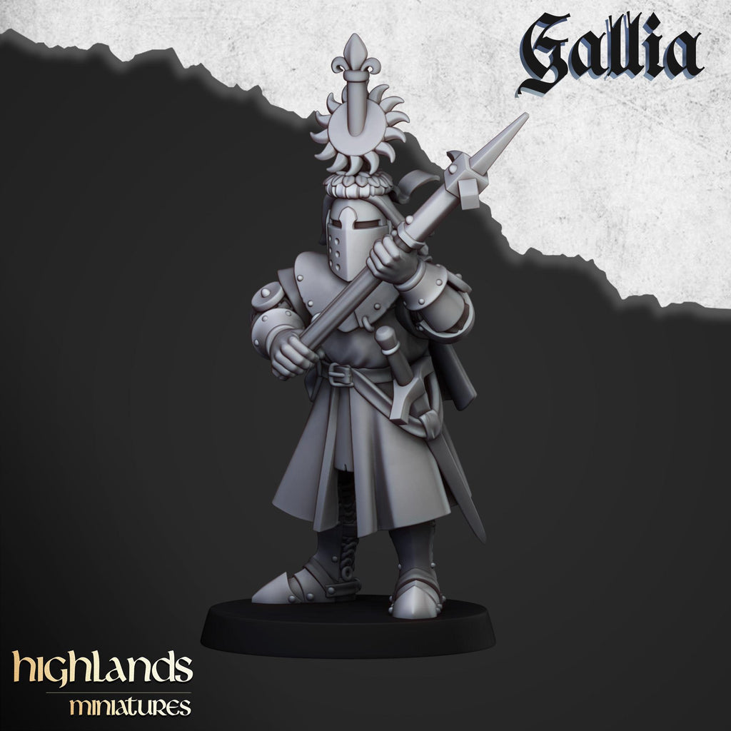 Knights of Gallia on Foot Unit - in 12k- by Highlands Miniatures