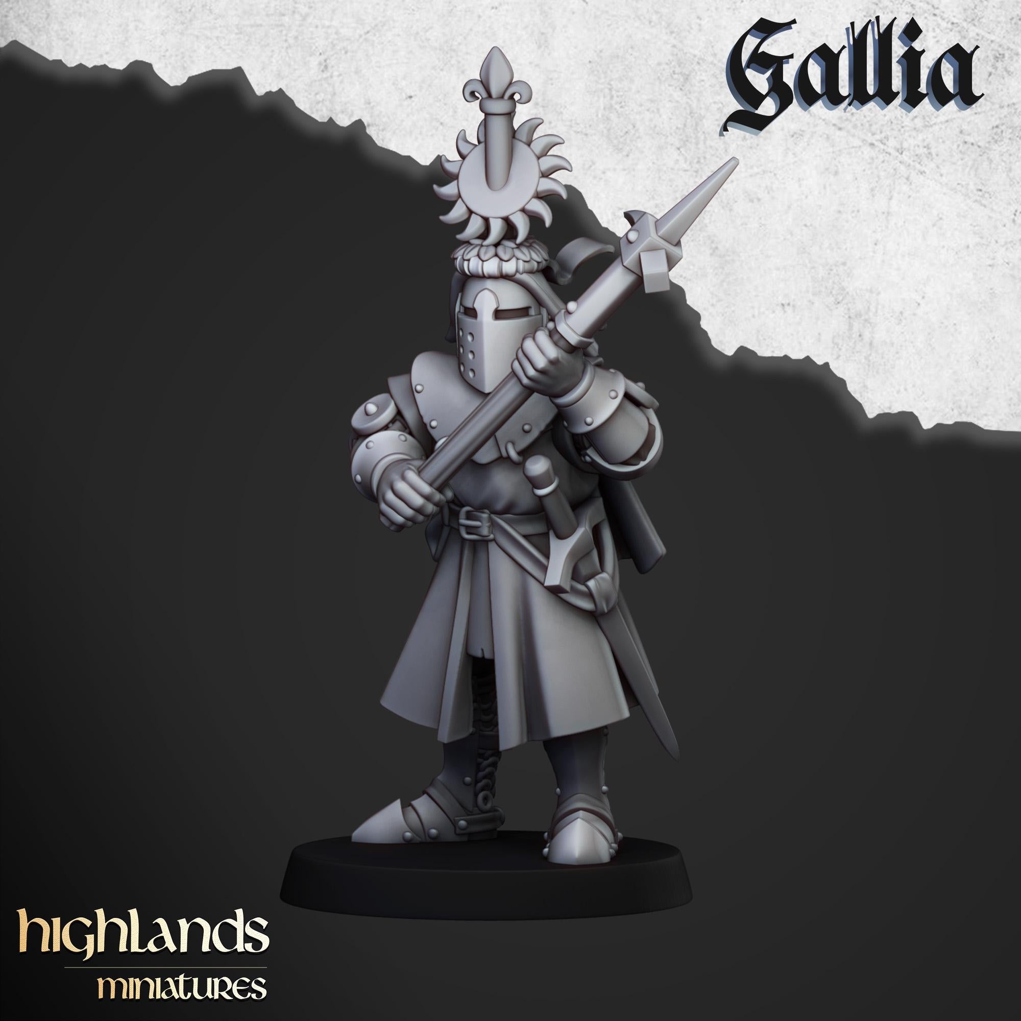 Knights of Gallia on Foot Unit - in 12k- by Highlands Miniatures