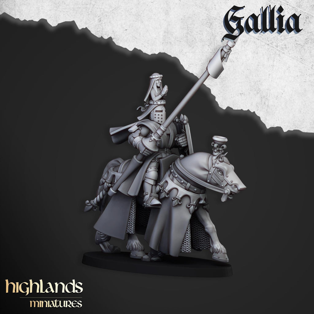 Royal Knights of Gallia - in 12k- by Highlands Miniatures