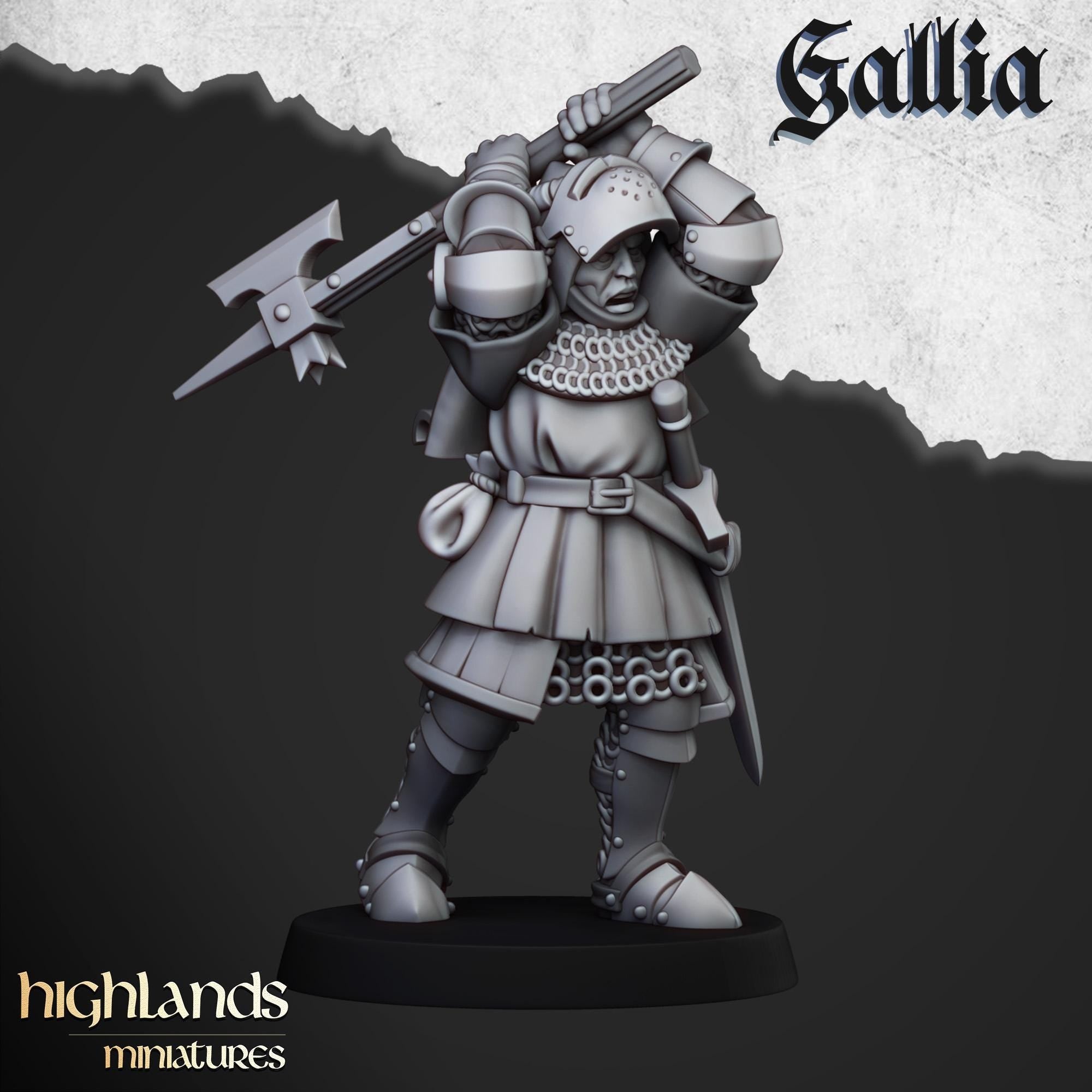 Knights of Gallia on Foot Unit - in 12k- by Highlands Miniatures