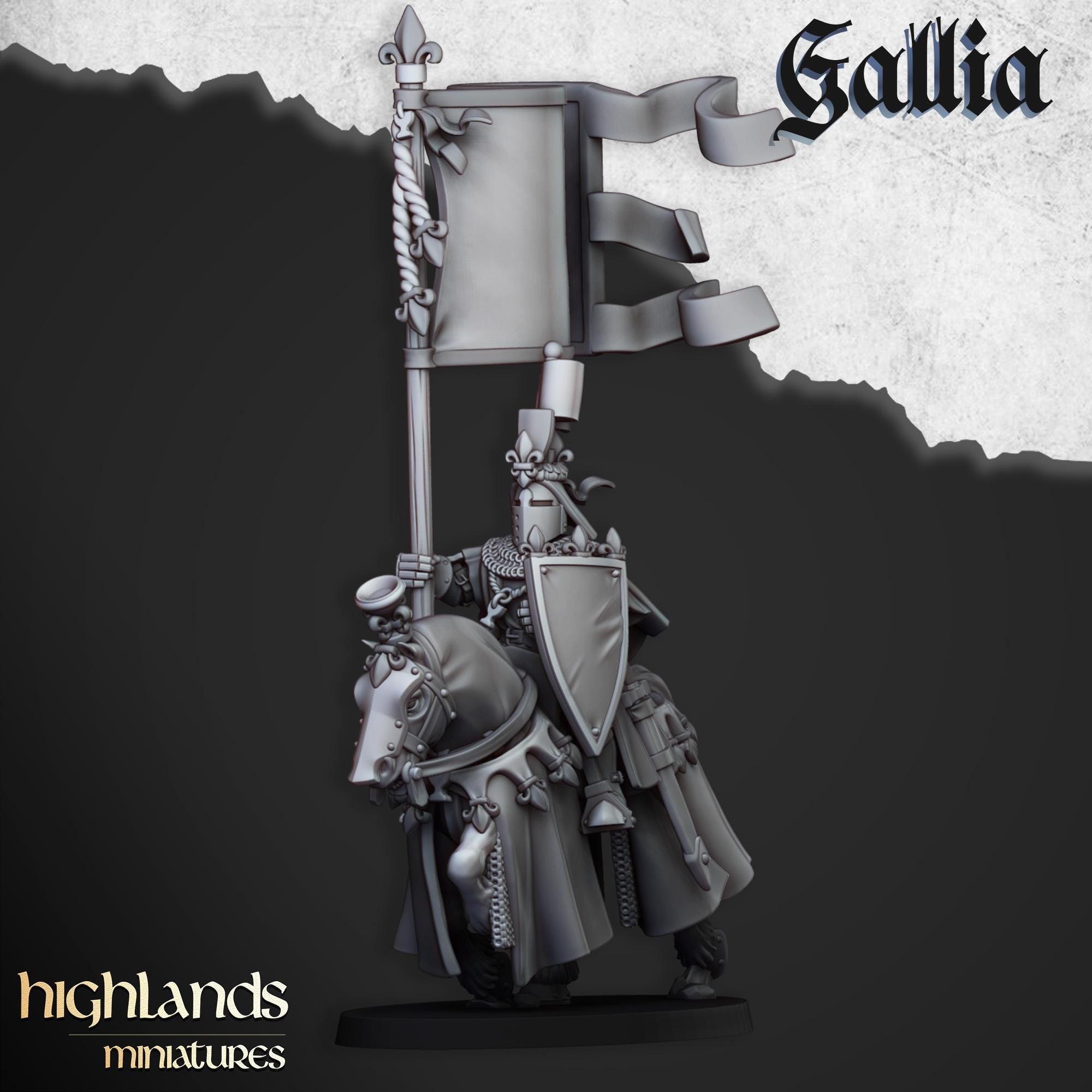 Royal Knights of Gallia - in 12k- by Highlands Miniatures