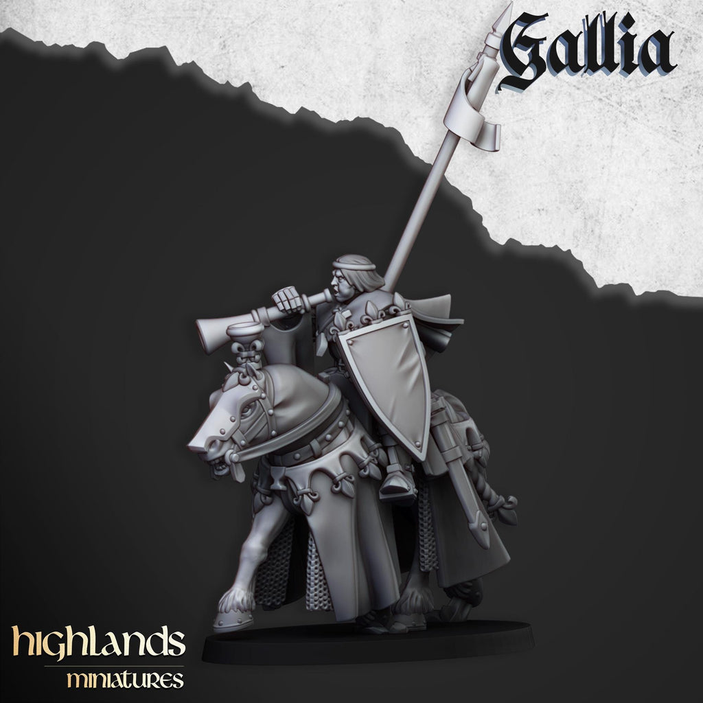 Royal Knights of Gallia - in 12k- by Highlands Miniatures