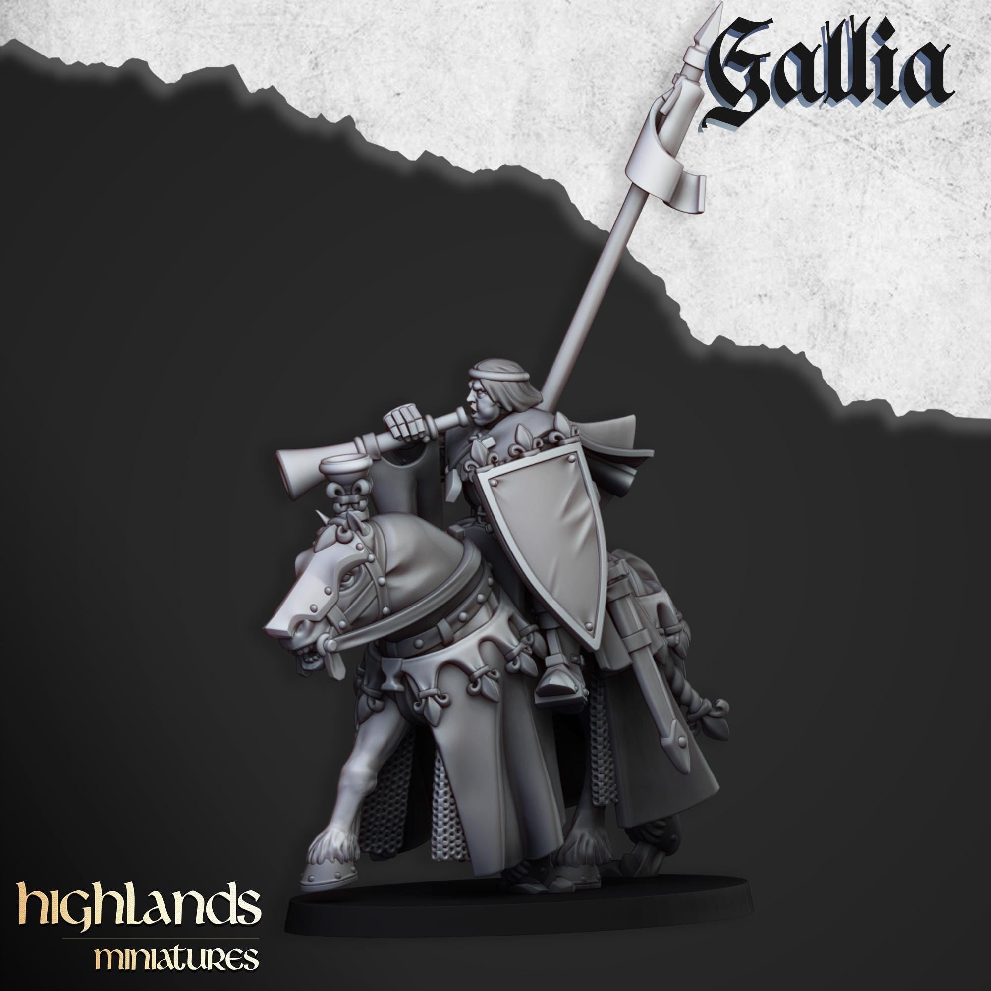 Royal Knights of Gallia - in 12k- by Highlands Miniatures