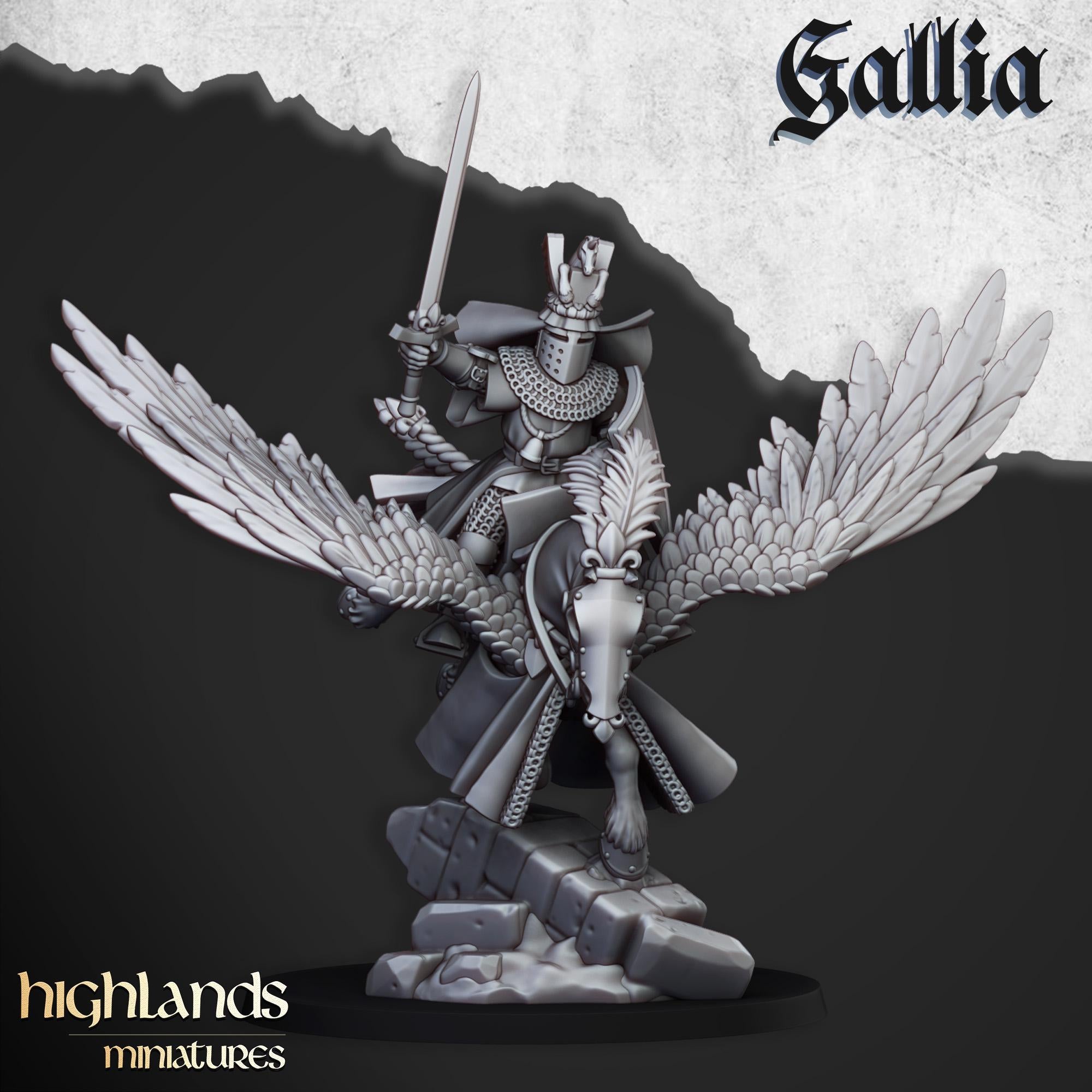 Gallia Knights on Pegasus - in 12k- by Highlands Miniatures
