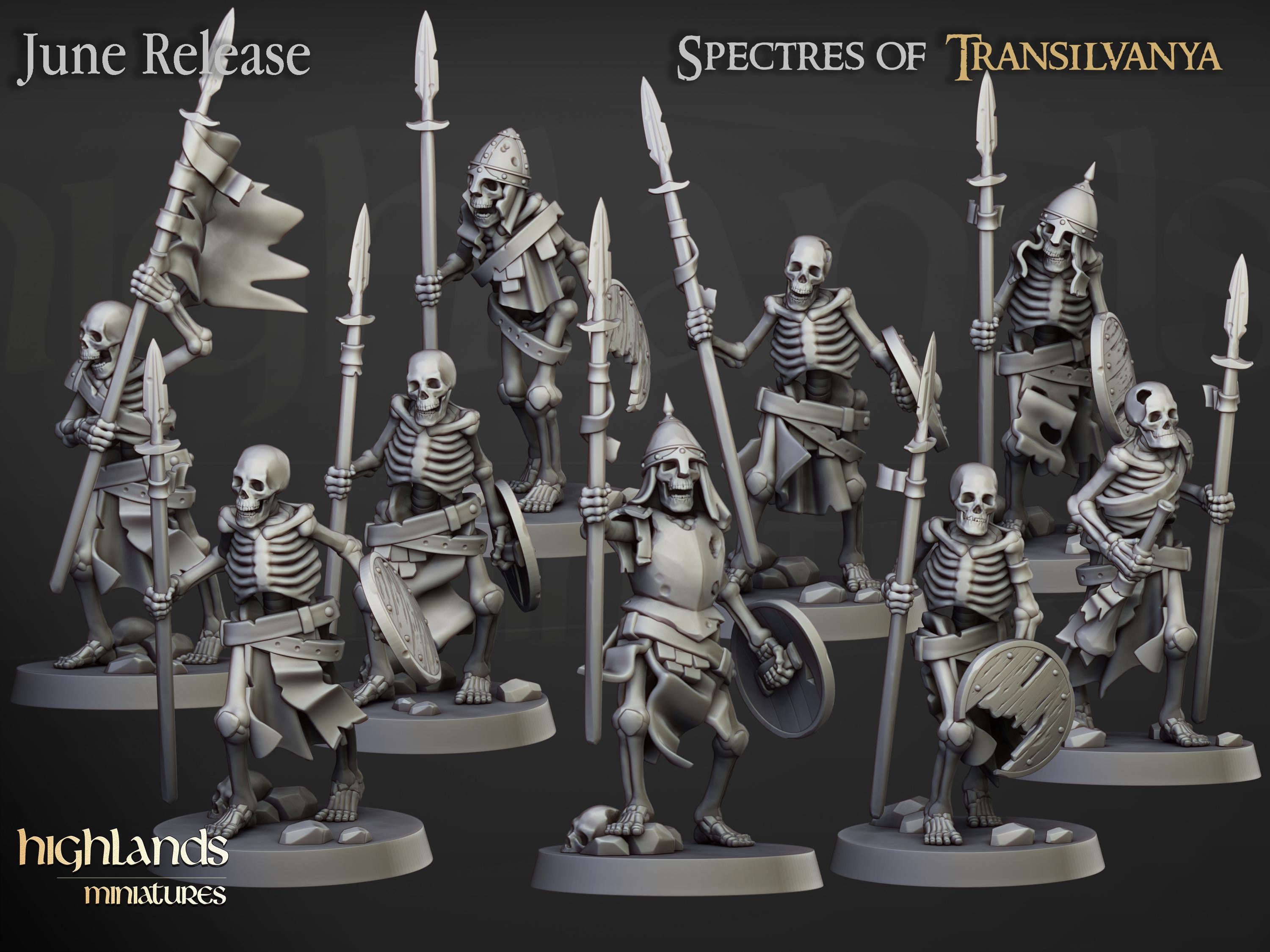 Skeleton Warriors unit spears - in 12k- by Highlands Miniatures