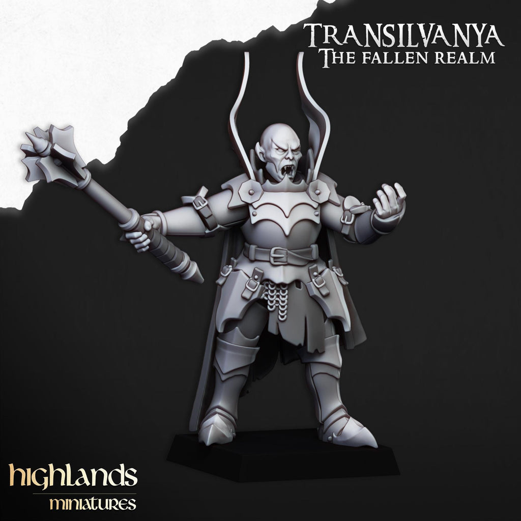 Transilvanya hero bundle - 4 models   - in 12k- by Highlands Miniatures