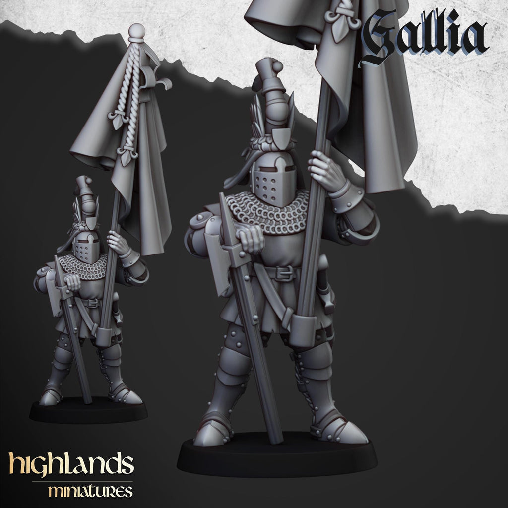 Knights of Gallia on Foot Unit - in 12k- by Highlands Miniatures