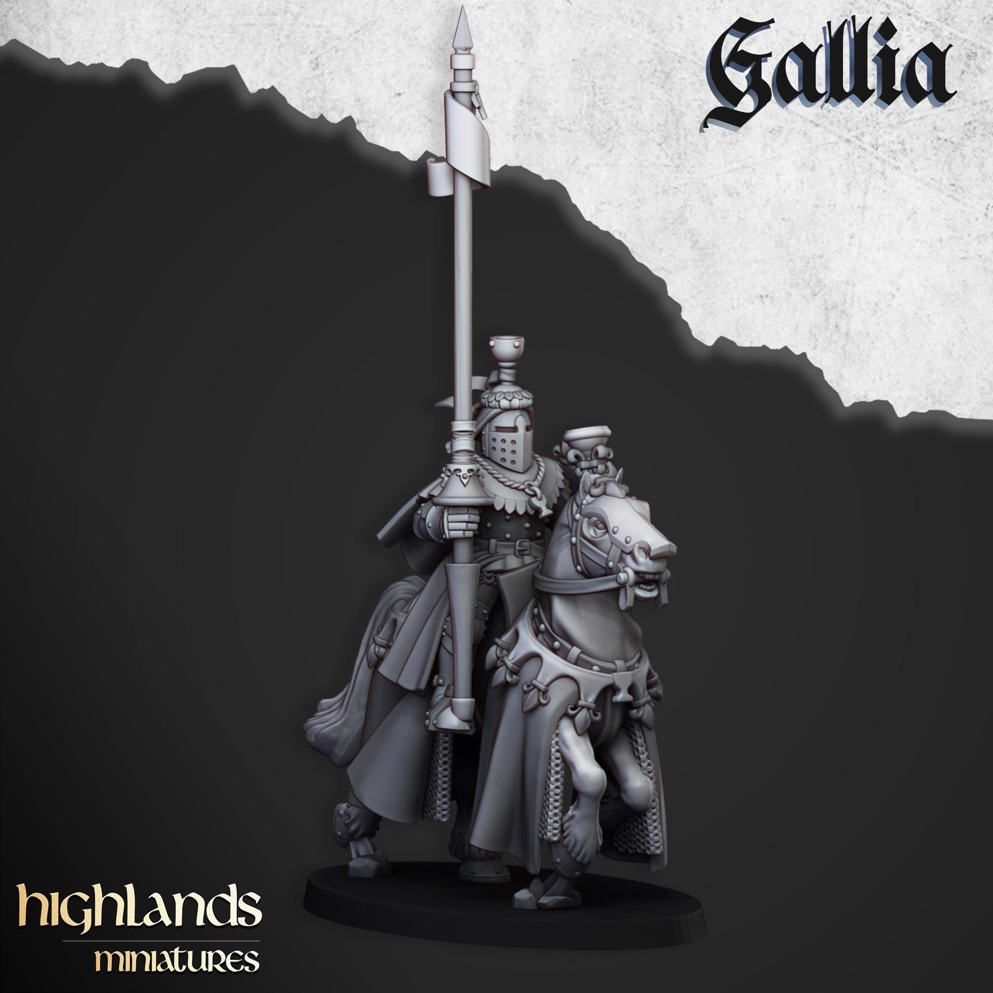 Royal Knights of Gallia - in 12k- by Highlands Miniatures
