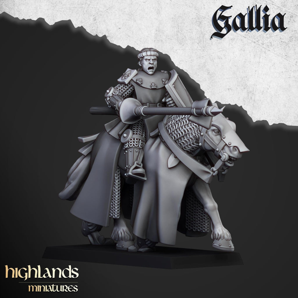 Young Knights of Gallia - in 12k- by Highlands Miniatures