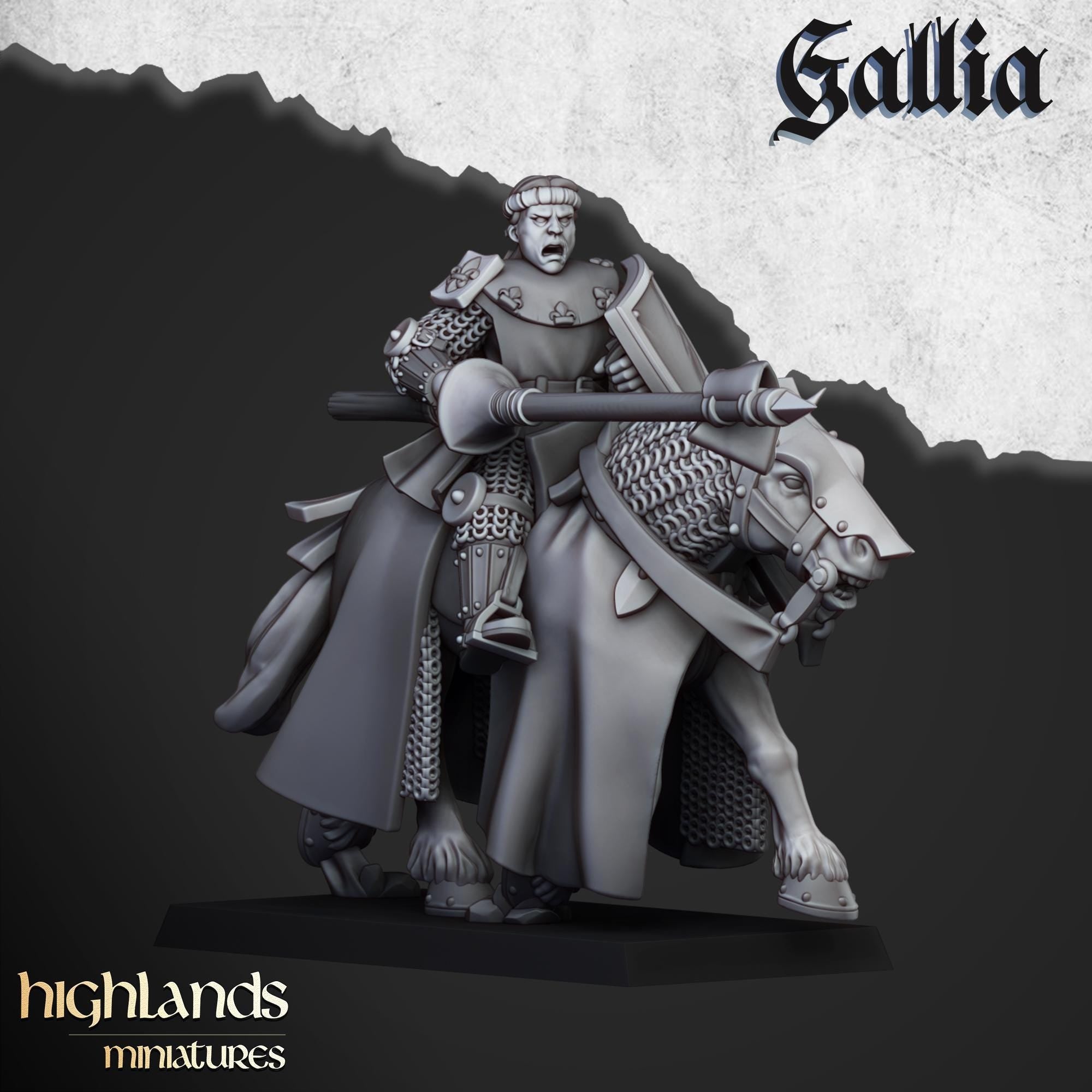 Young Knights of Gallia - in 12k- by Highlands Miniatures
