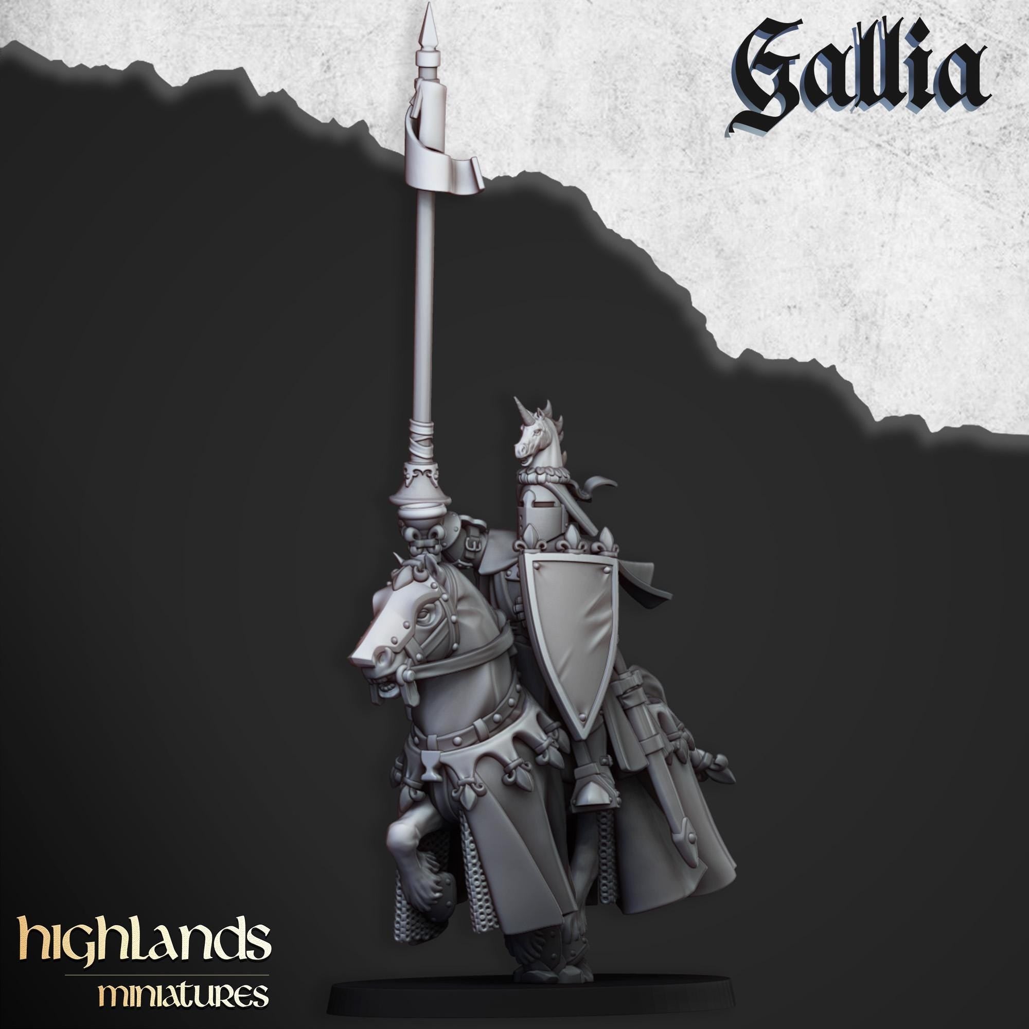 Royal Knights of Gallia - in 12k- by Highlands Miniatures