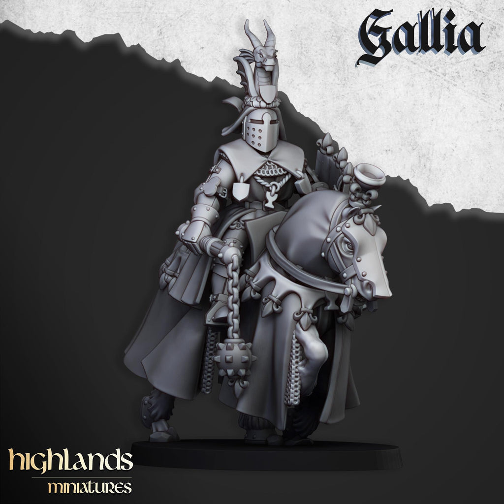 Royal Knights of Gallia - in 12k- by Highlands Miniatures