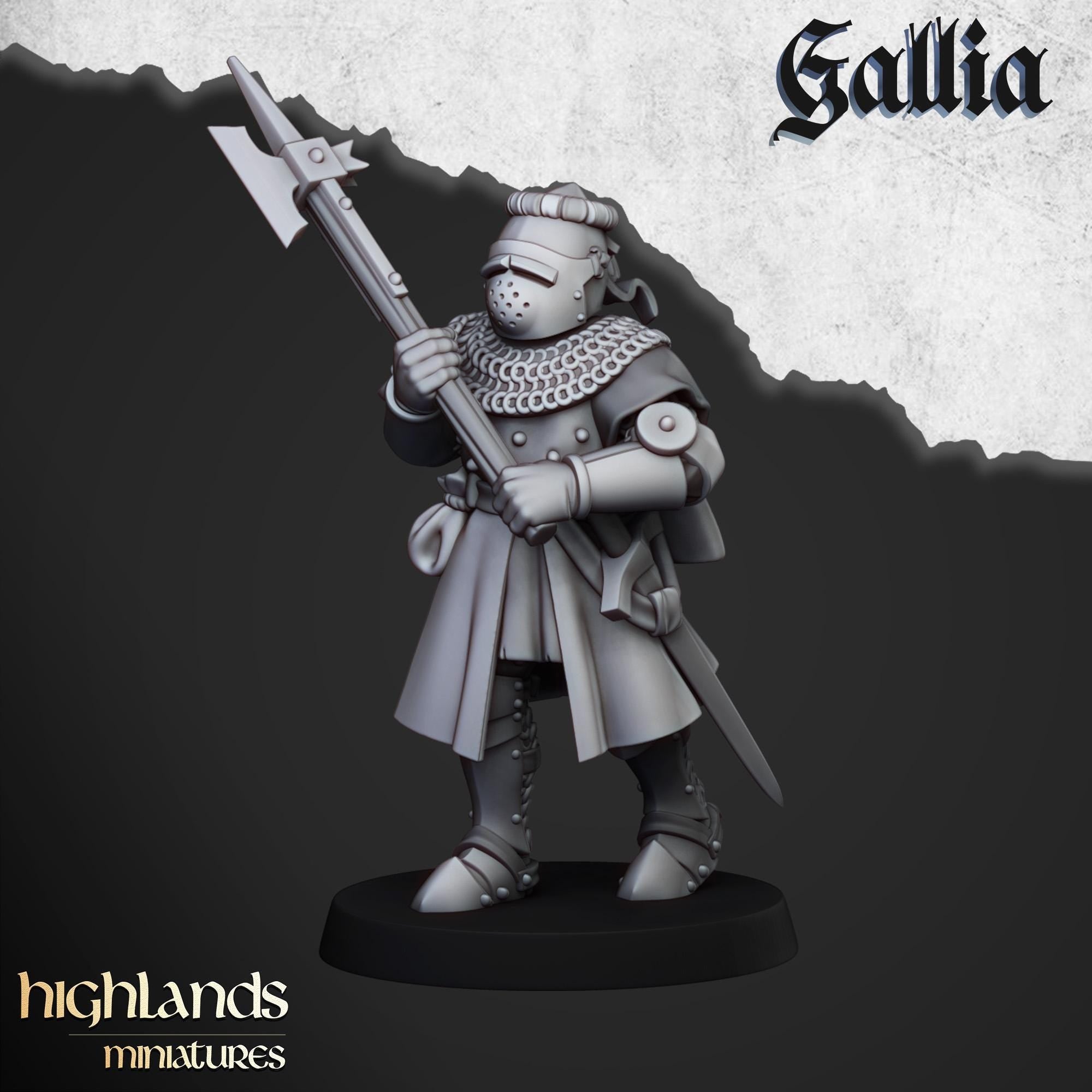 Knights of Gallia on Foot Unit - in 12k- by Highlands Miniatures