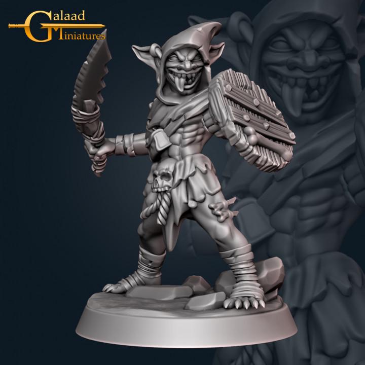 Goblin Bundle - 10 models - 12k - Galaad