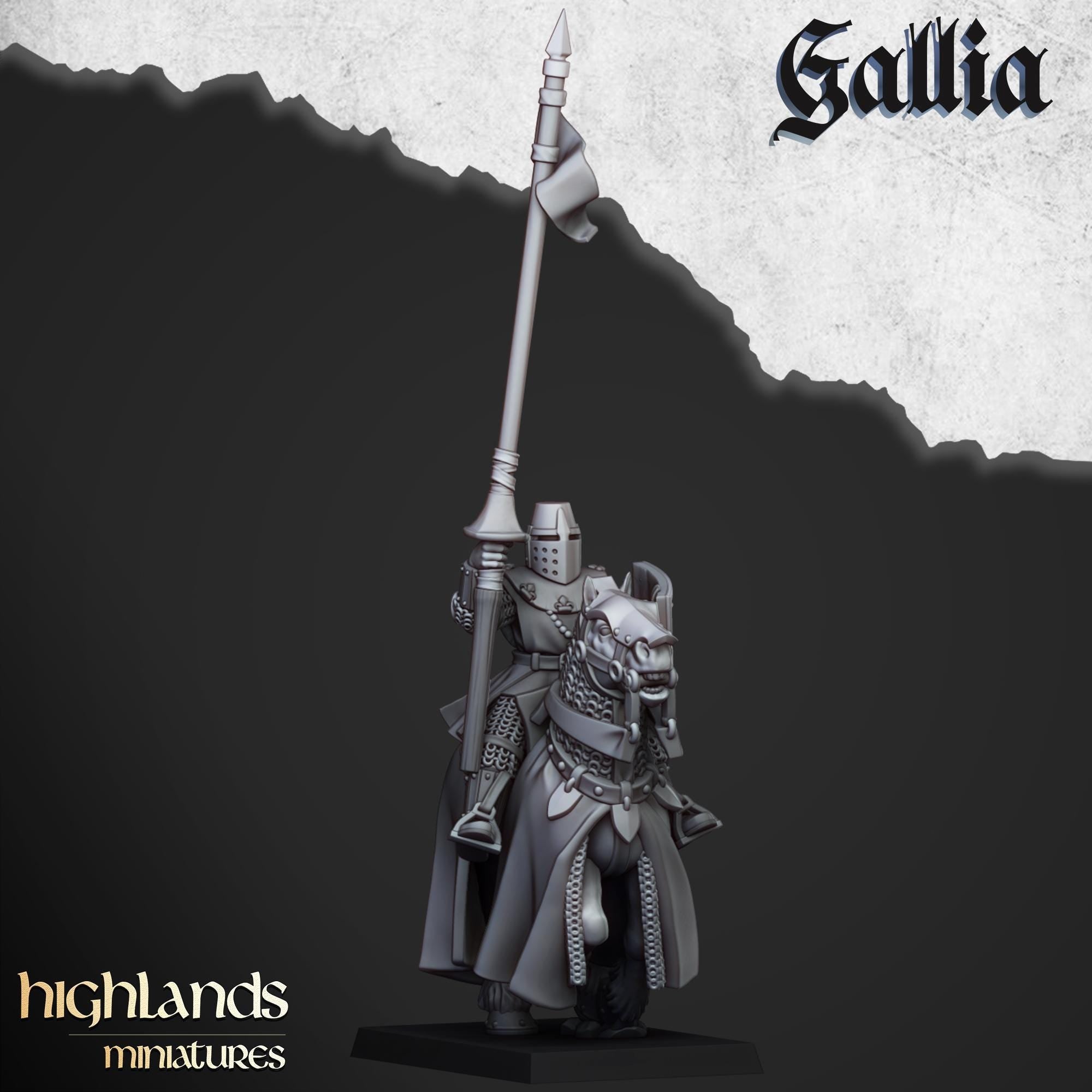 Young Knights of Gallia - in 12k- by Highlands Miniatures