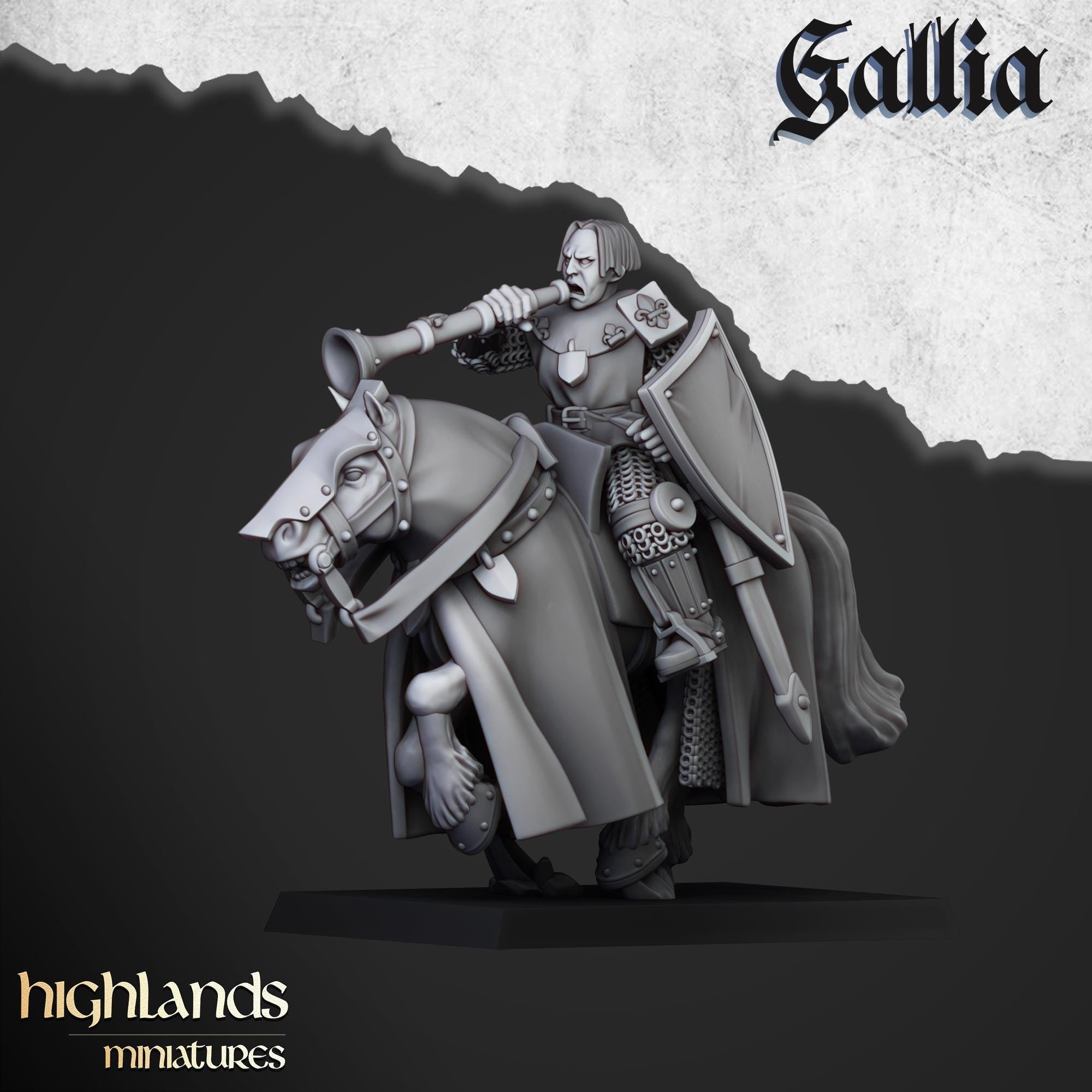 Young Knights of Gallia - in 12k- by Highlands Miniatures