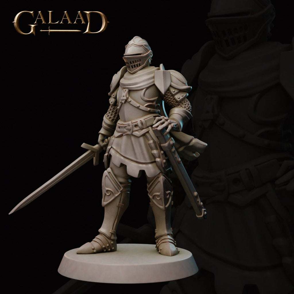 6 Model Pack - Knight Warband - in 8k - by Galaad