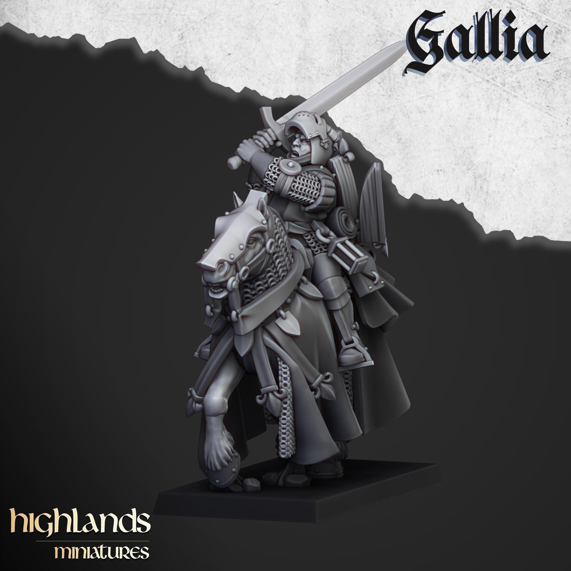 Questing Knights  - in 12k- by Highlands Miniatures