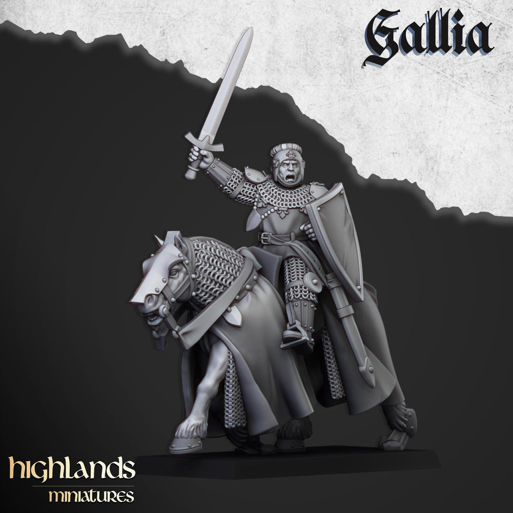 Young Knights of Gallia - in 12k- by Highlands Miniatures