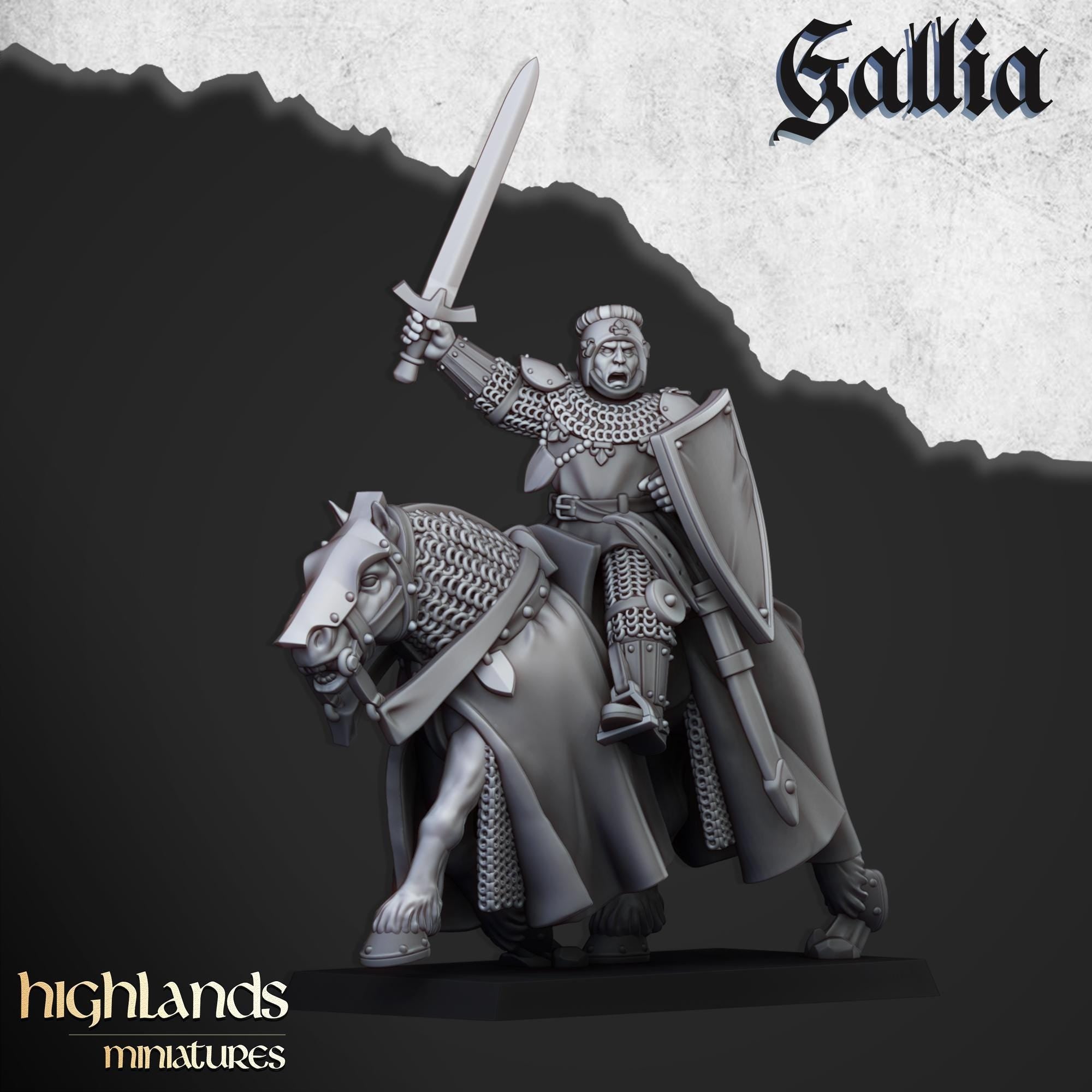 Young Knights of Gallia - in 12k- by Highlands Miniatures