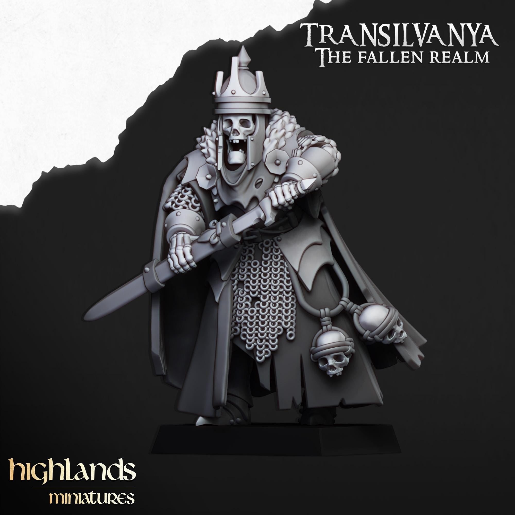 Transilvanya hero bundle - 4 models   - in 12k- by Highlands Miniatures