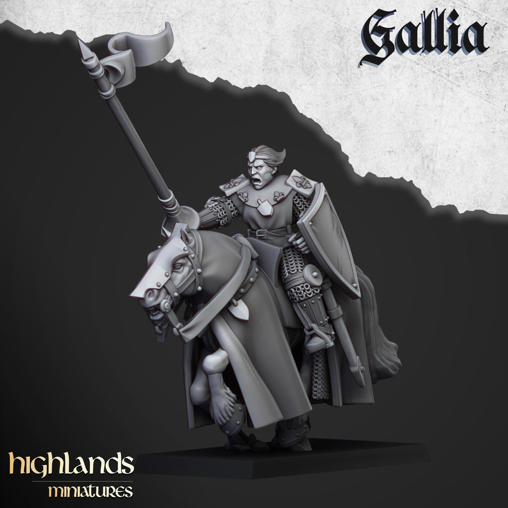 Young Knights of Gallia - in 12k- by Highlands Miniatures