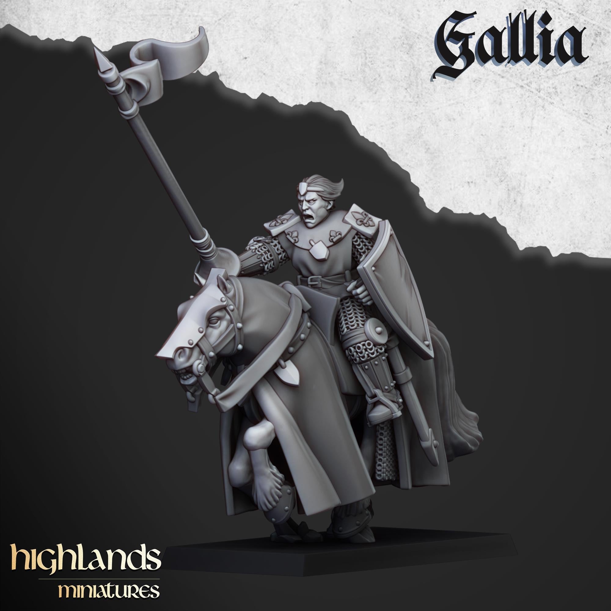 Young Knights of Gallia - in 12k- by Highlands Miniatures
