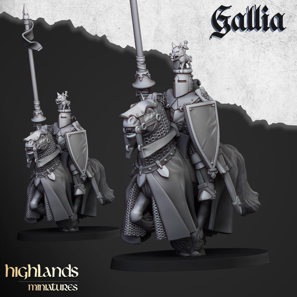 Knights of Gallia - in 12k- by Highlands Miniatures