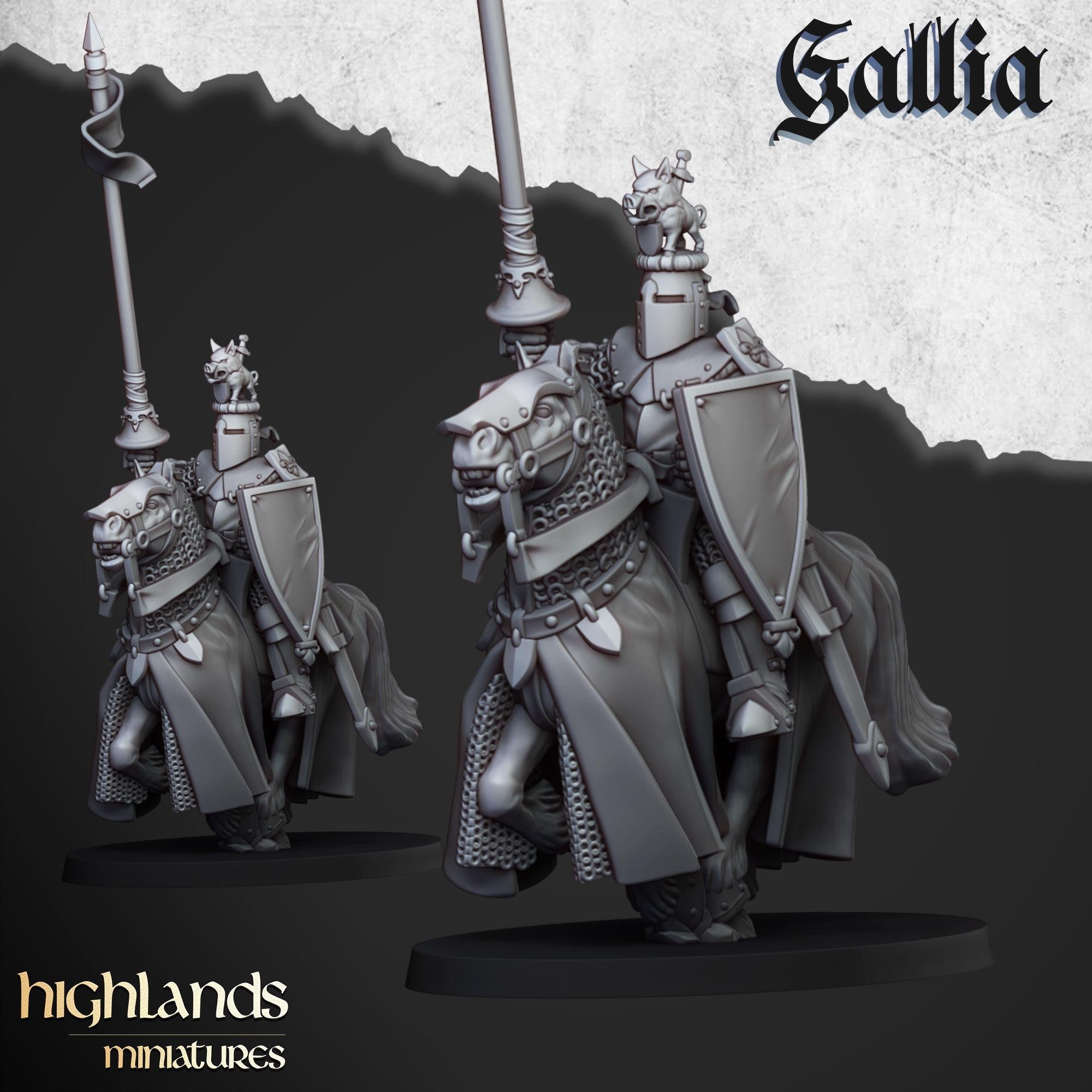 Knights of Gallia - in 12k- by Highlands Miniatures