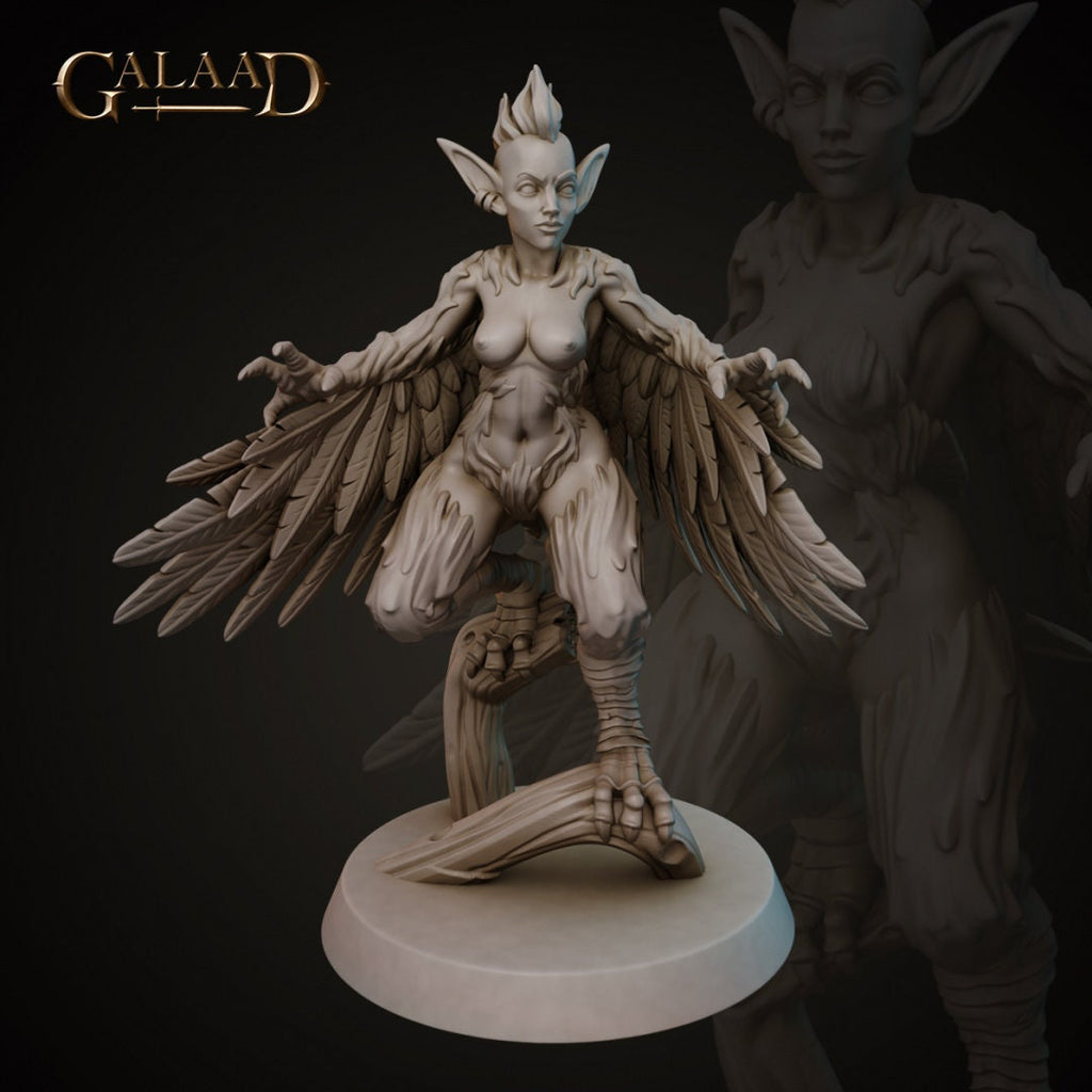 3 model Pack - Harpys - in 8k - SFW or NSFW by Galaad