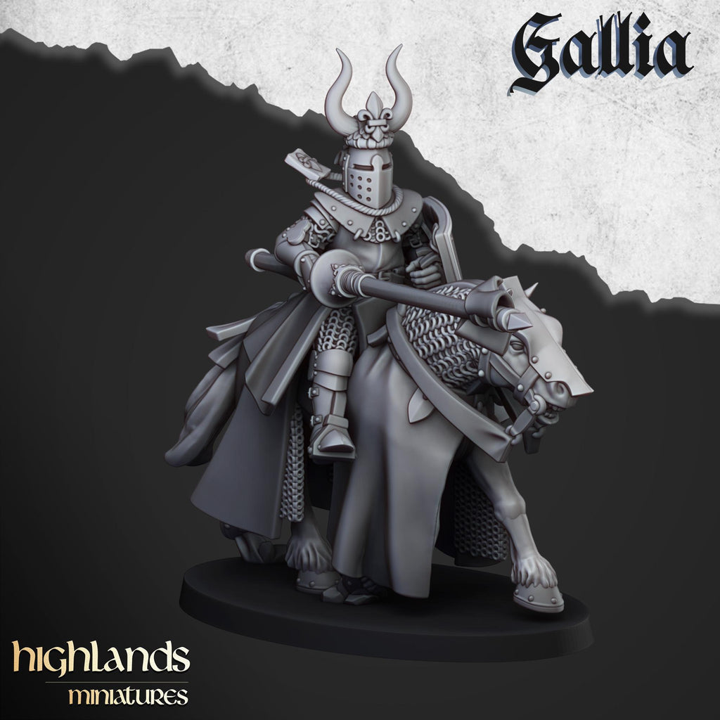 Knights of Gallia - in 12k- by Highlands Miniatures