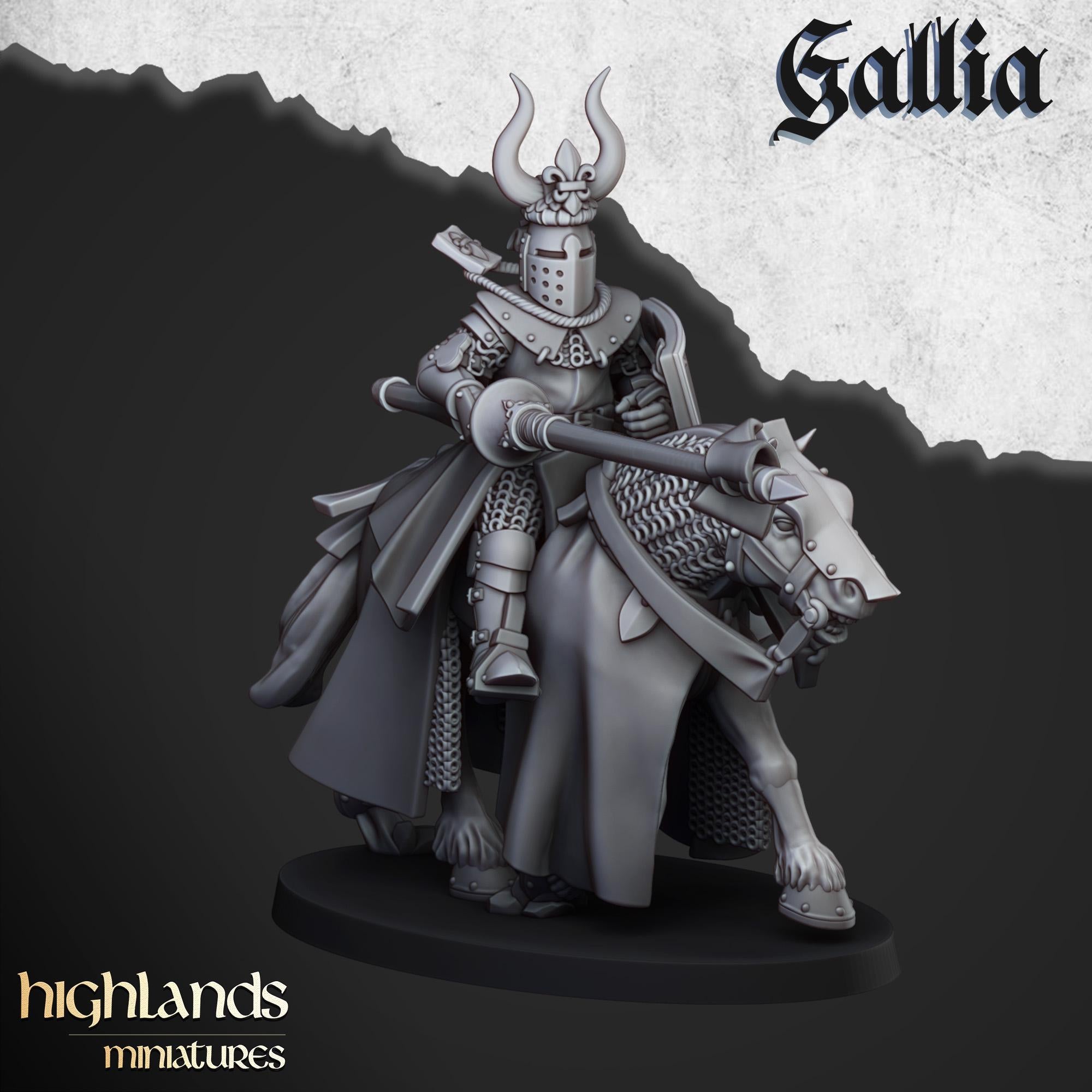 Knights of Gallia - in 12k- by Highlands Miniatures