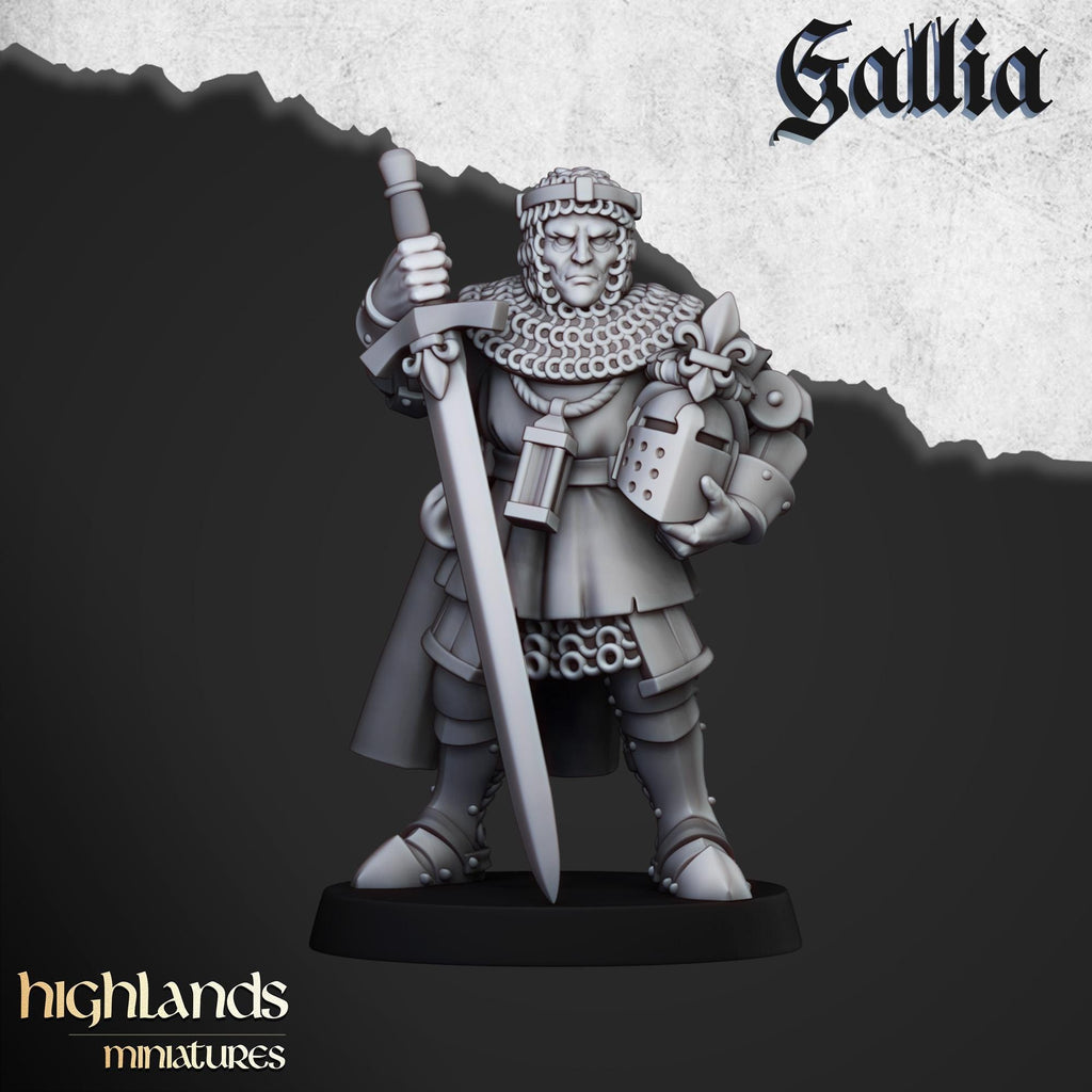 Knights of Gallia on Foot Unit - in 12k- by Highlands Miniatures