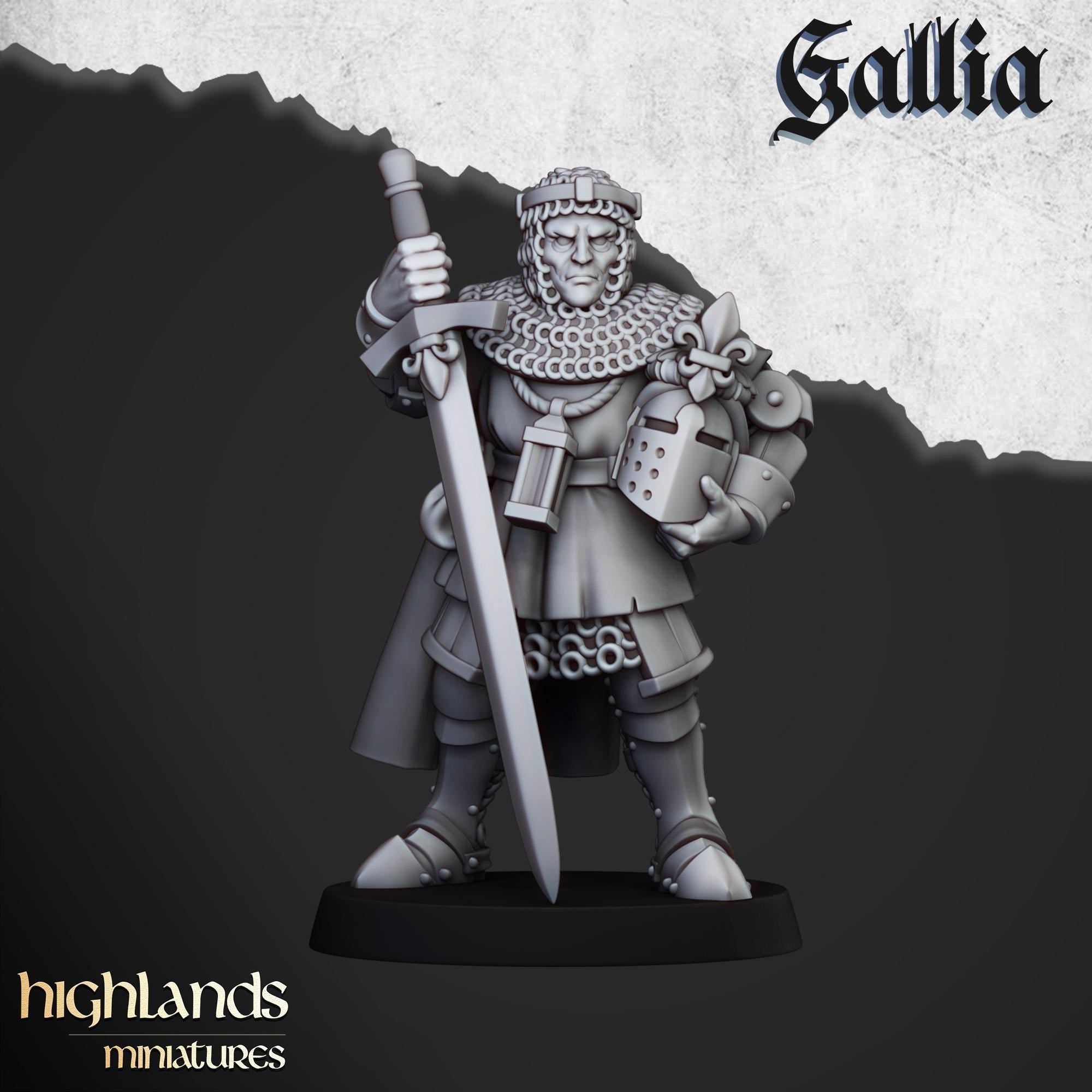 Knights of Gallia on Foot Unit - in 12k- by Highlands Miniatures