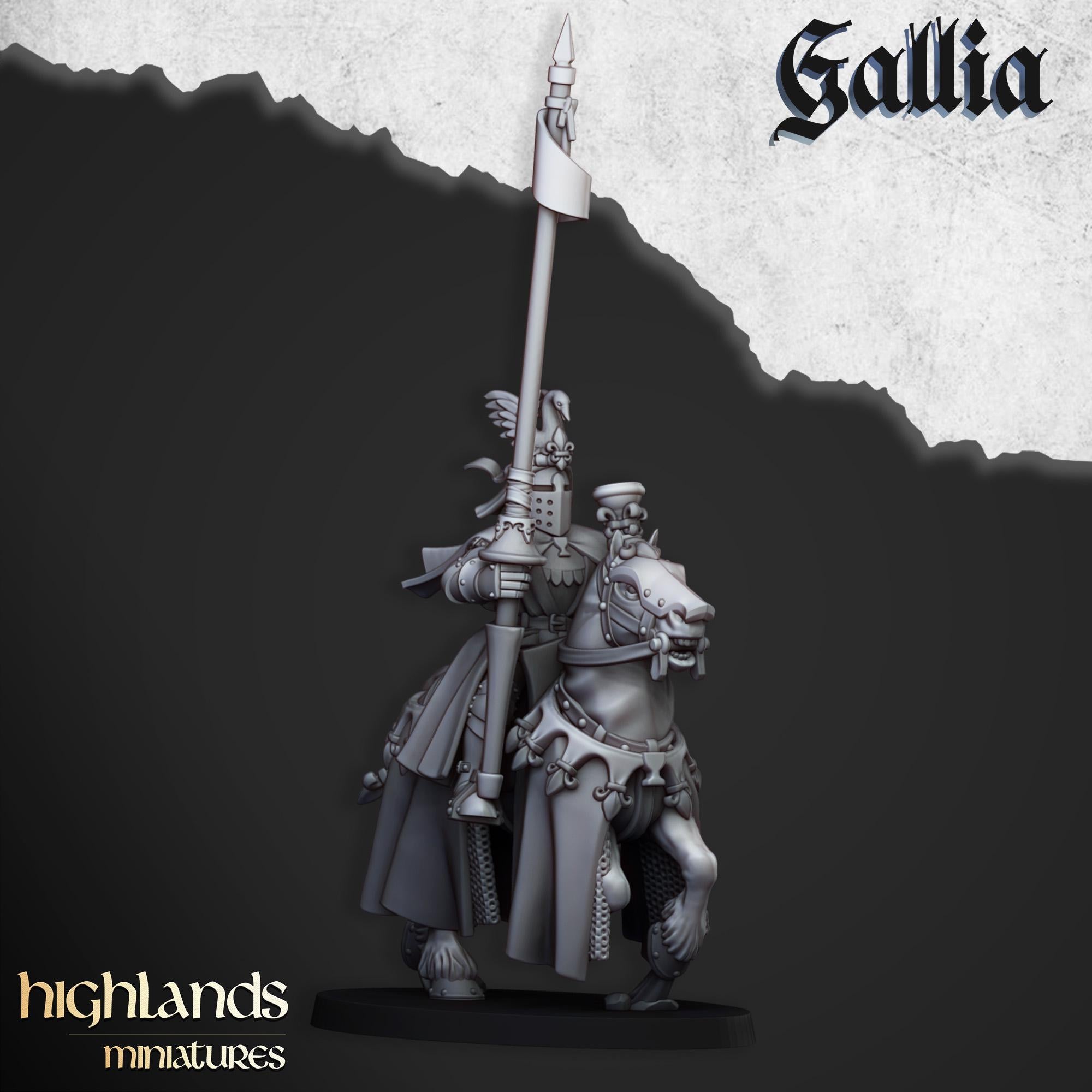 Royal Knights of Gallia - in 12k- by Highlands Miniatures