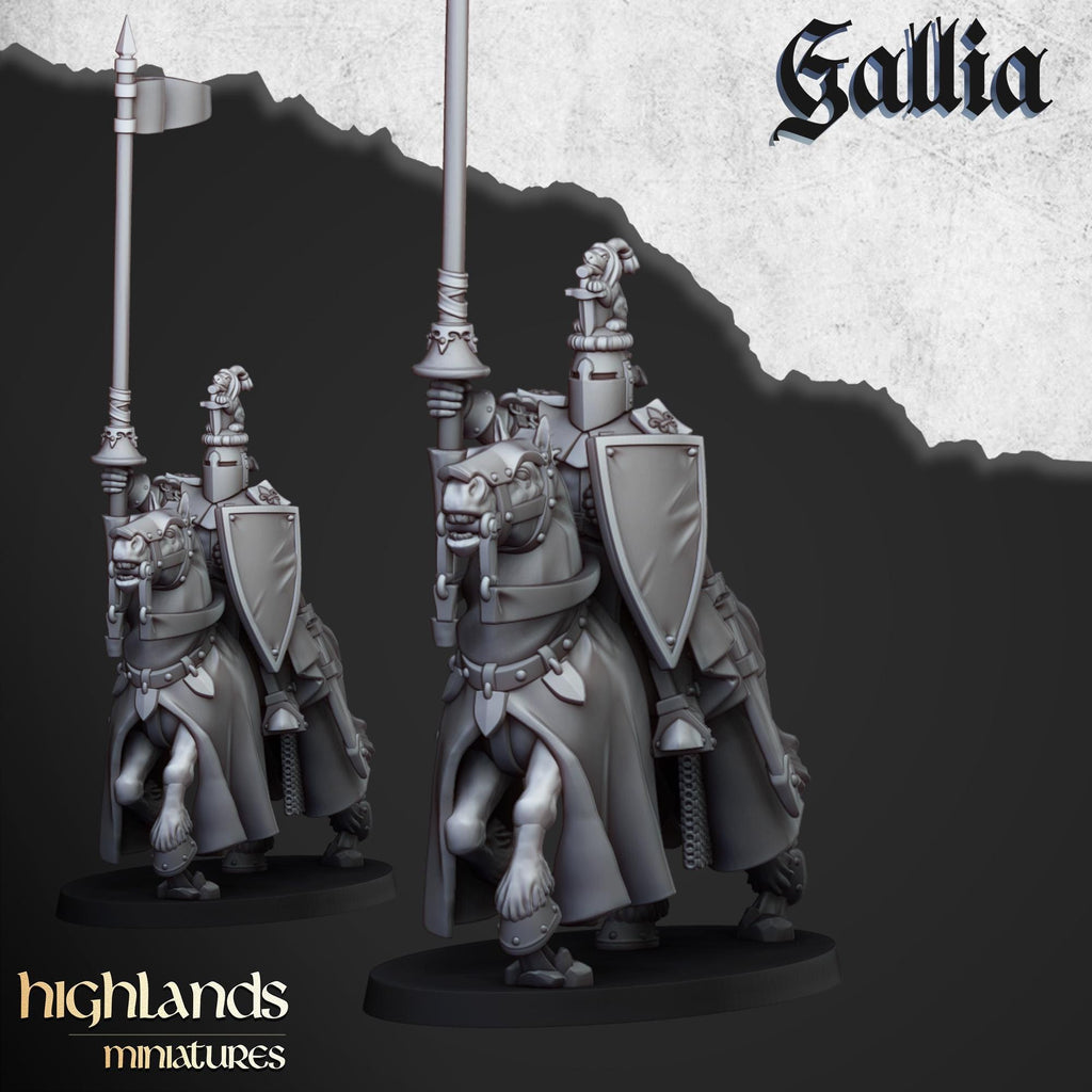 Knights of Gallia - in 12k- by Highlands Miniatures