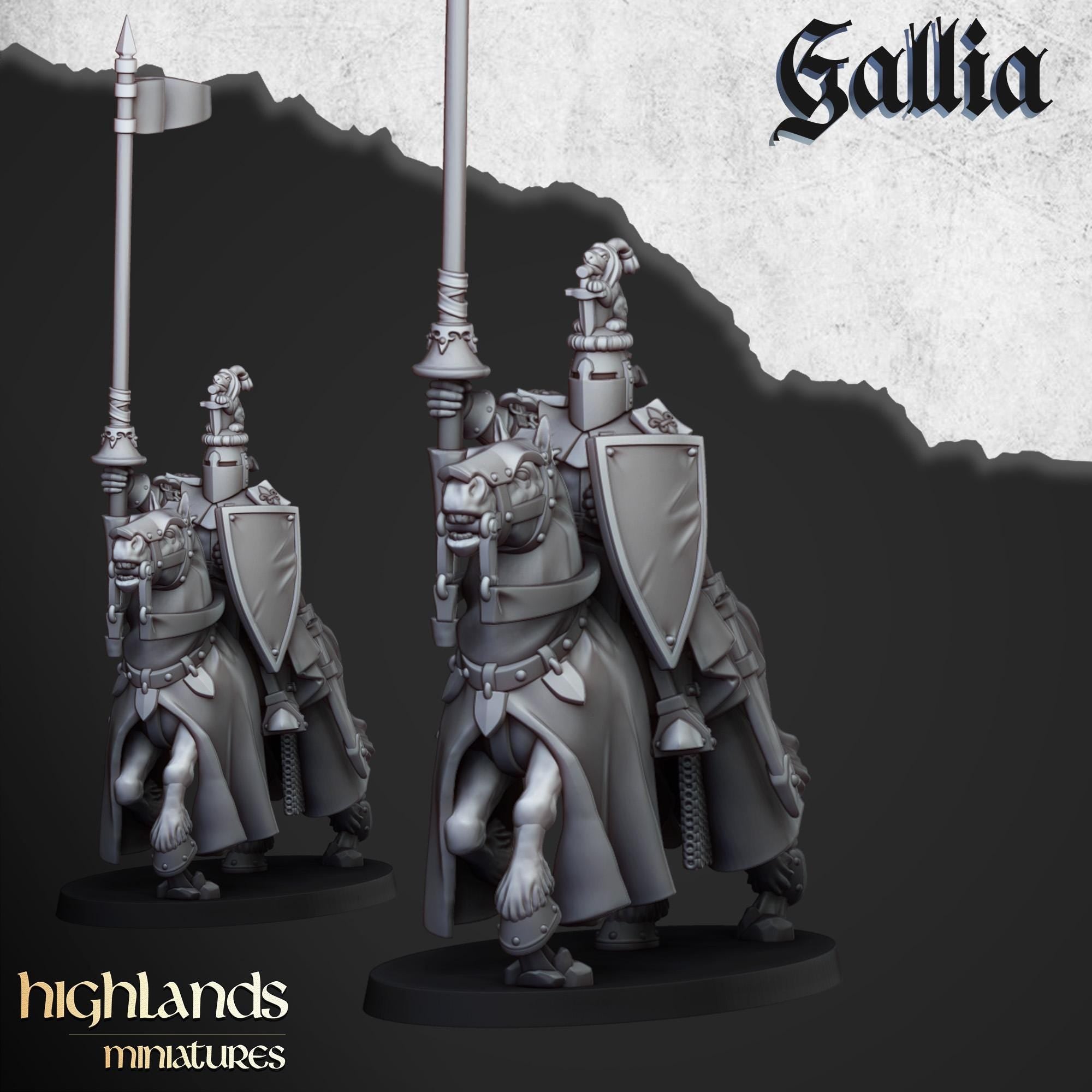 Knights of Gallia - in 12k- by Highlands Miniatures