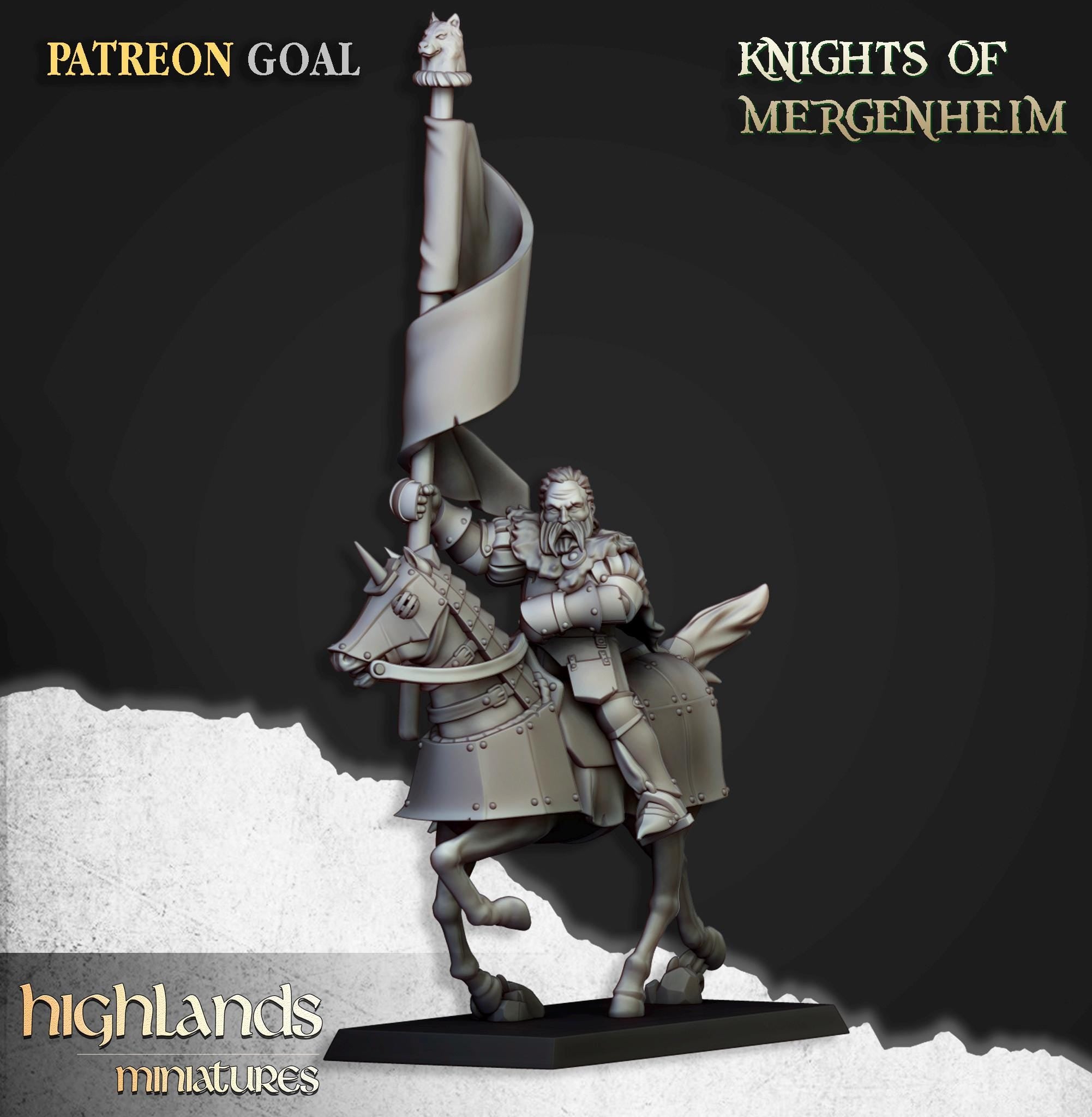 Knights of Mergenheim - in 12k- by Highlands Miniatures