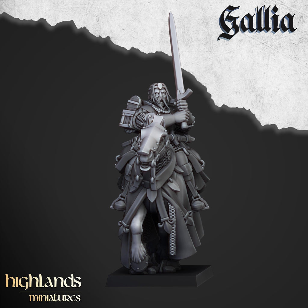 Questing Knights  - in 12k- by Highlands Miniatures