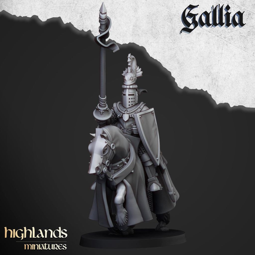 Knights of Gallia - in 12k- by Highlands Miniatures