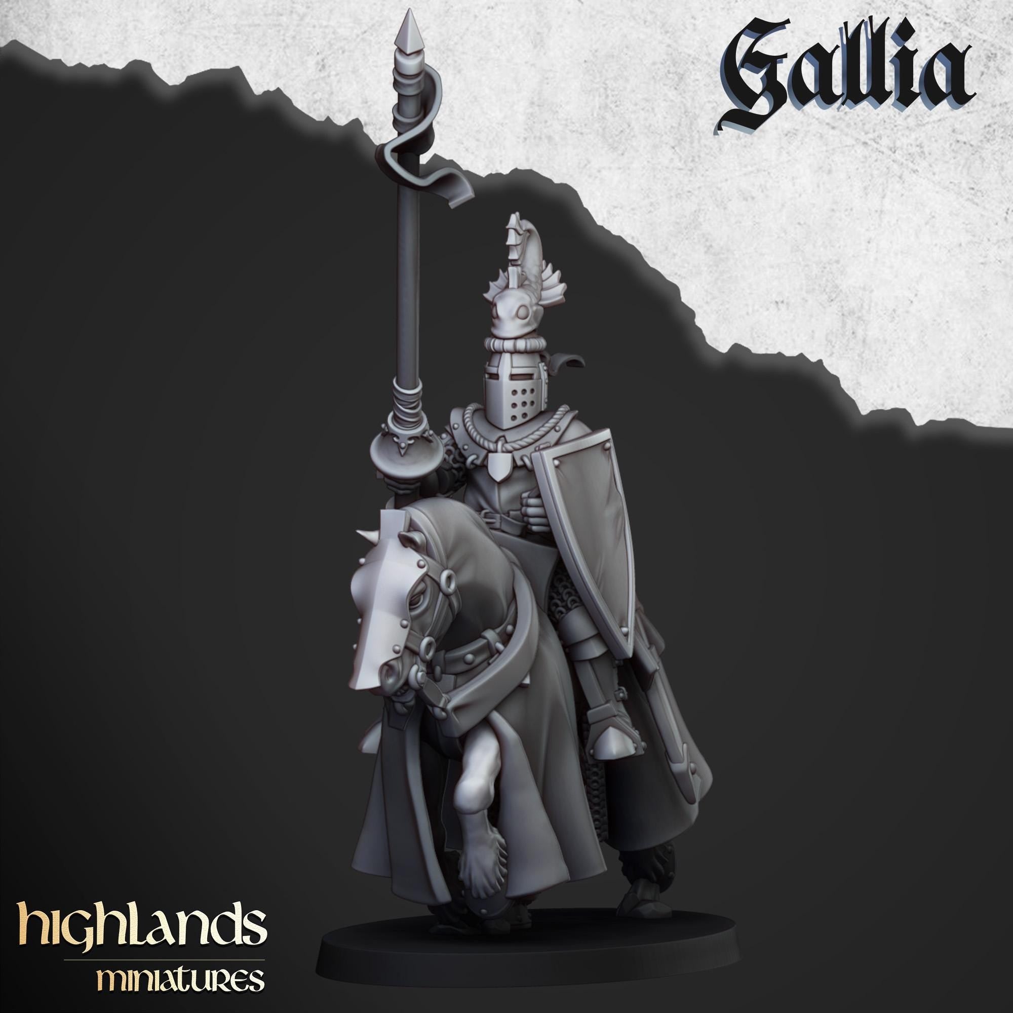 Knights of Gallia - in 12k- by Highlands Miniatures
