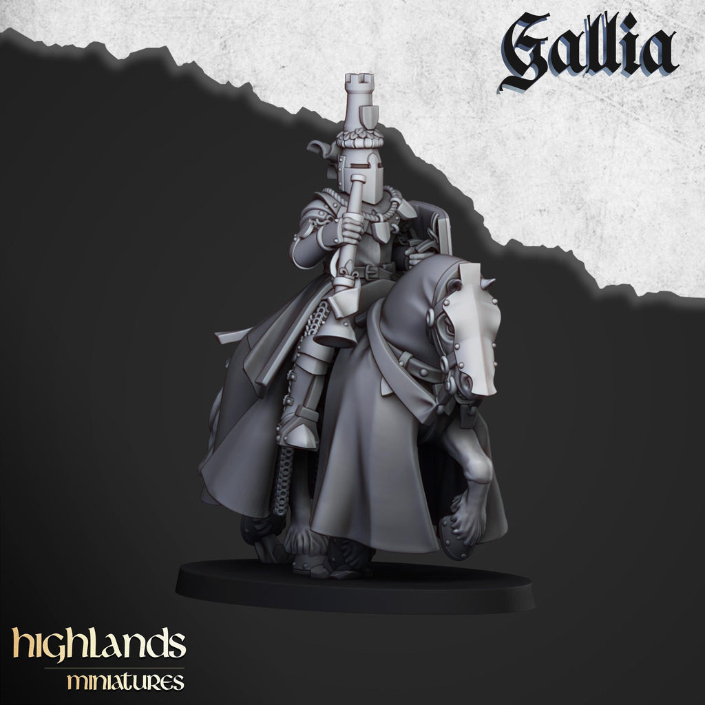 Knights of Gallia - in 12k- by Highlands Miniatures
