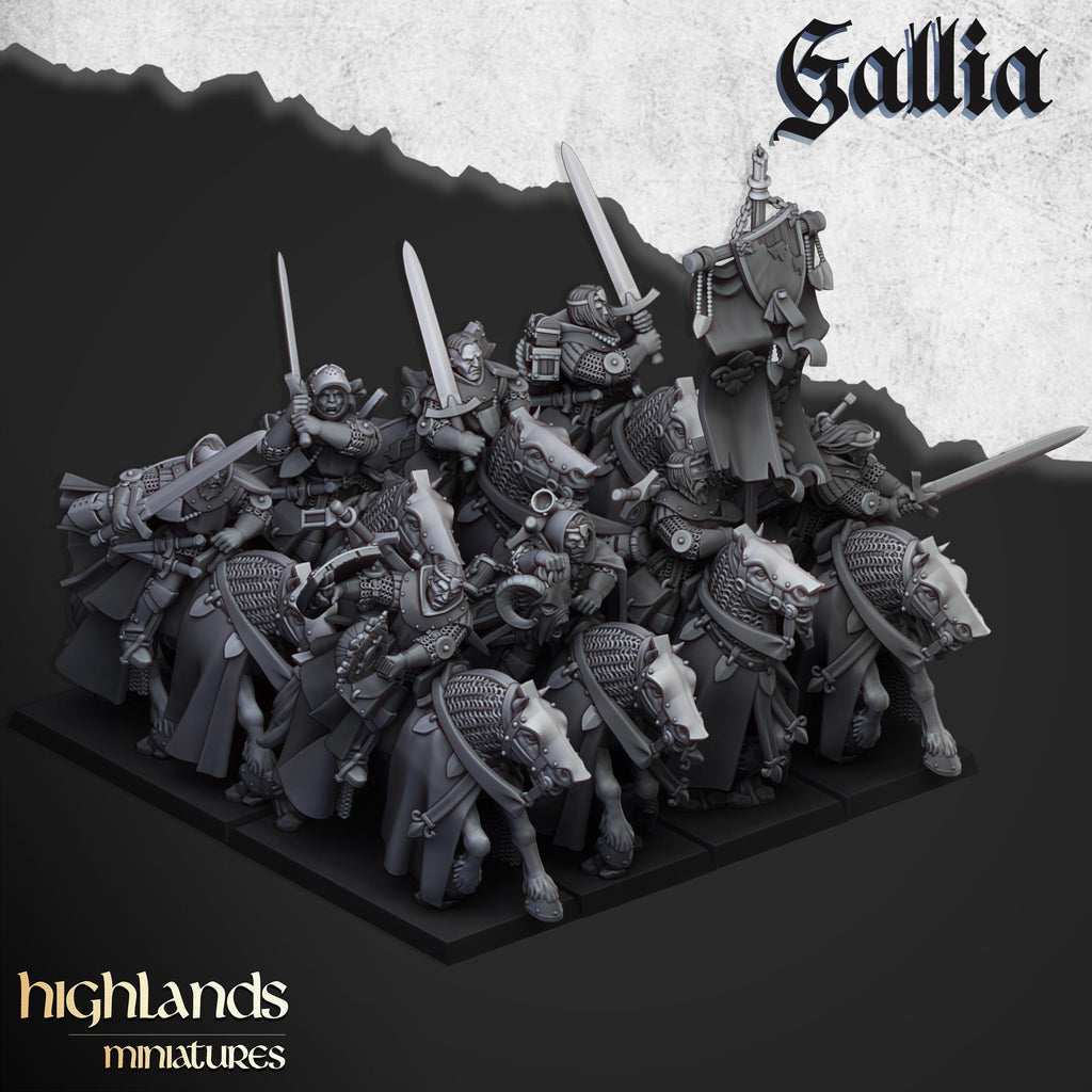 Questing Knights  - in 12k- by Highlands Miniatures