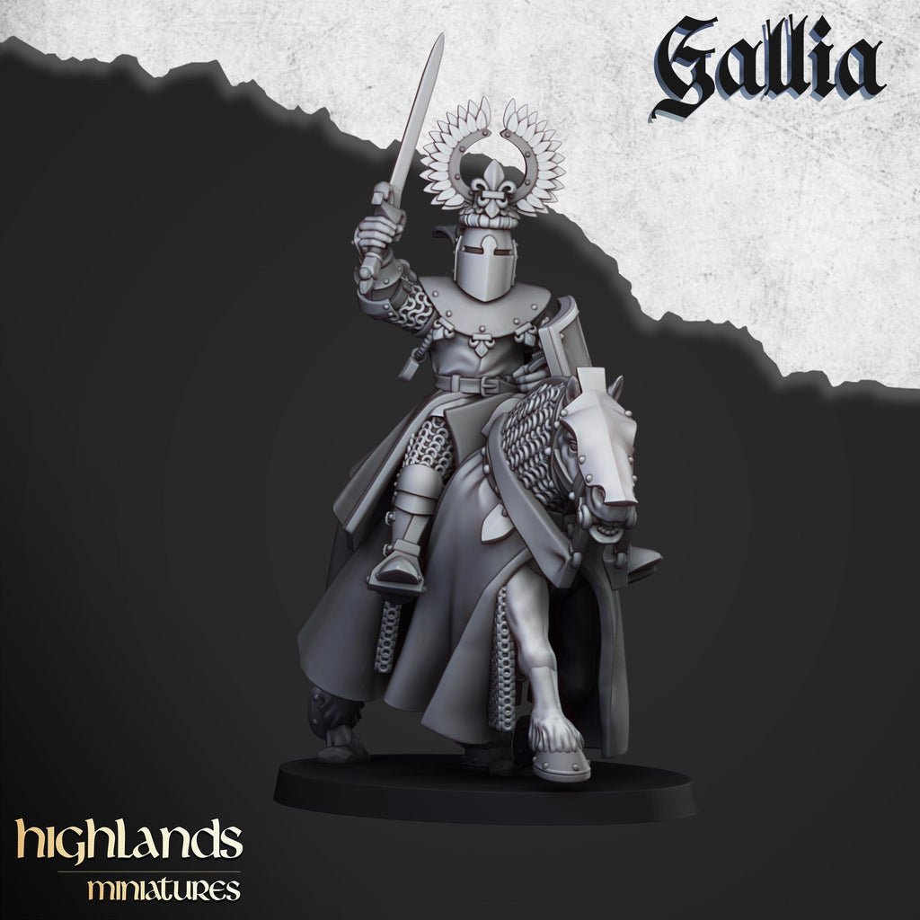 Knights of Gallia - in 12k- by Highlands Miniatures