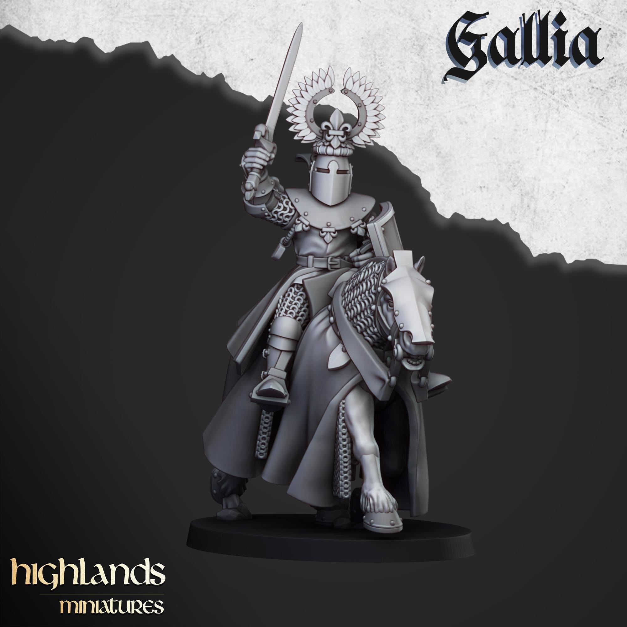 Knights of Gallia - in 12k- by Highlands Miniatures