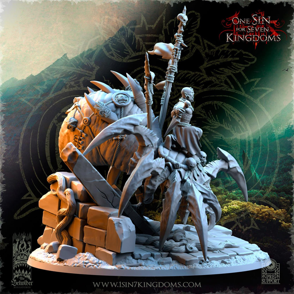 Salanaar Shaman Spider Rider  - in 12k- by TheBeholderMiniatures